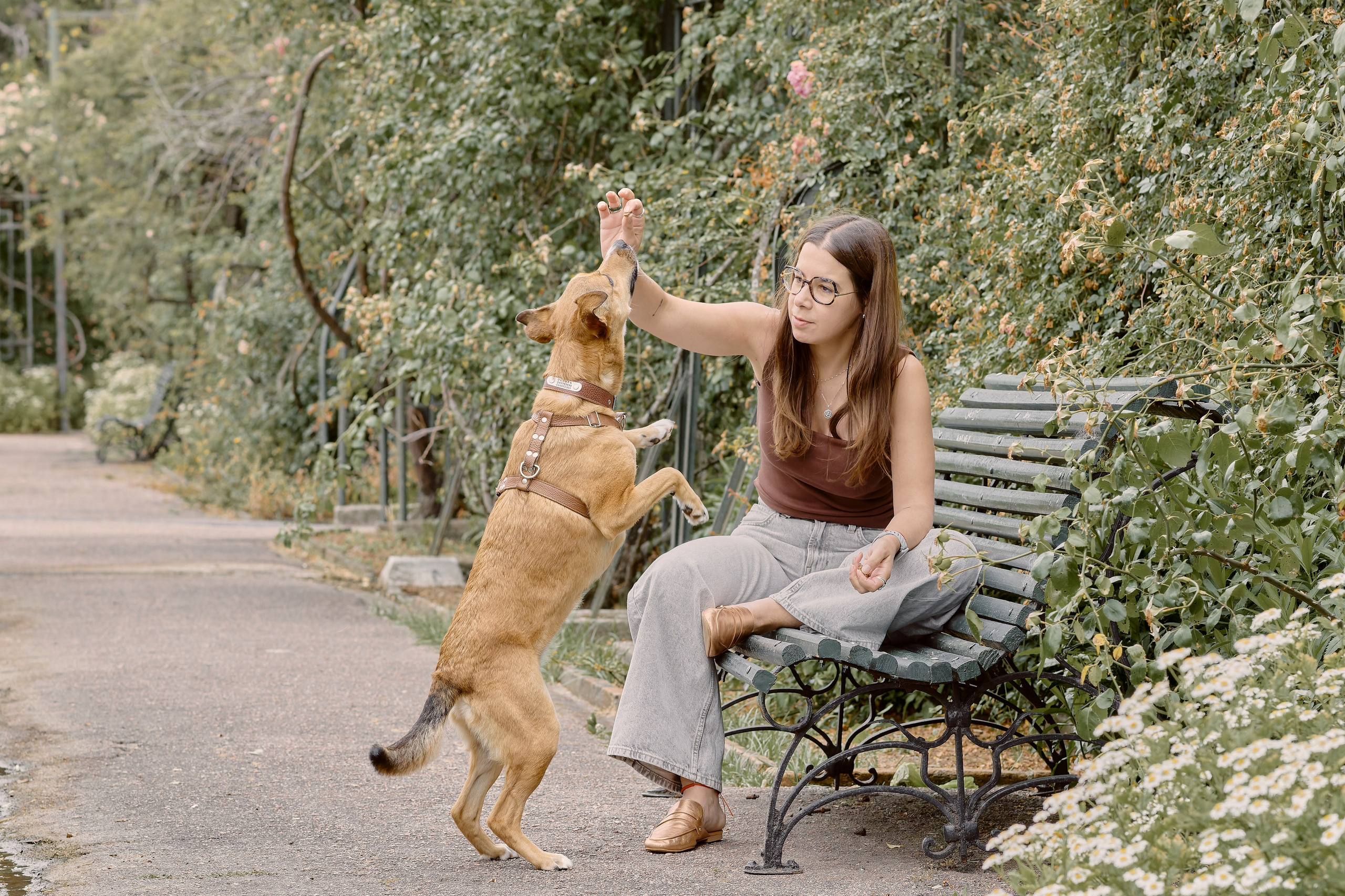 Tatiana & Hugo. Valssy – Fotografía de mascotas en Uruguay. Retratos profesionales de perros y gatos
