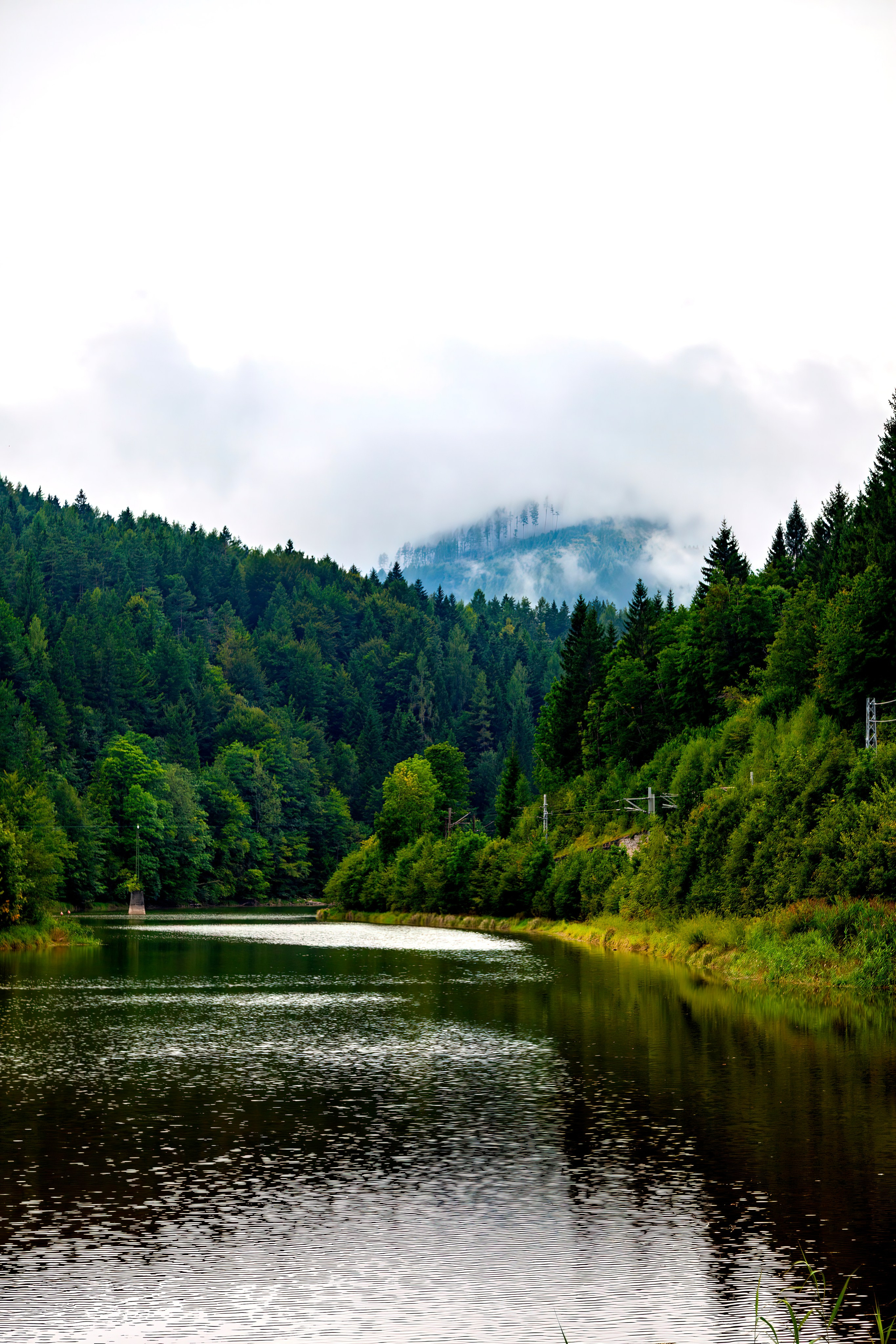 197.Ötscher Base Nature Park.Austria.21.8.2025. Путешествия в формате 360......