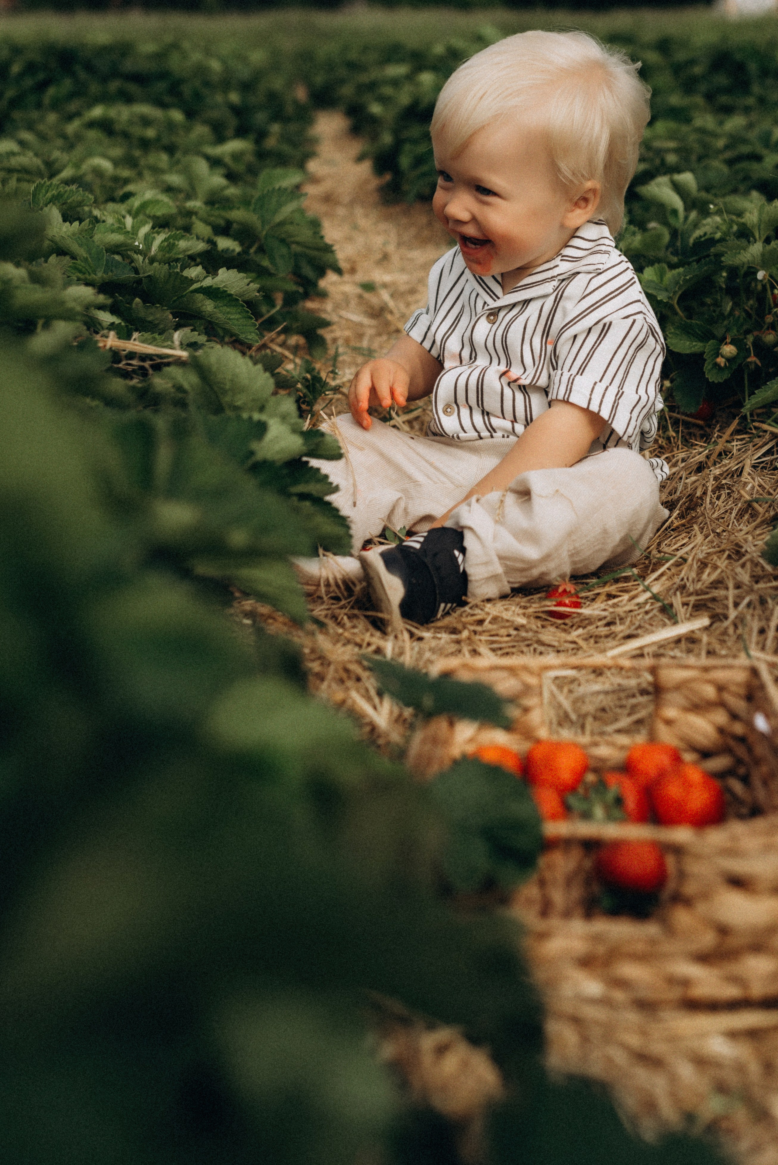 Семейная фотосессия в клубнике. Семейный фотограф Лейпциг, Германия