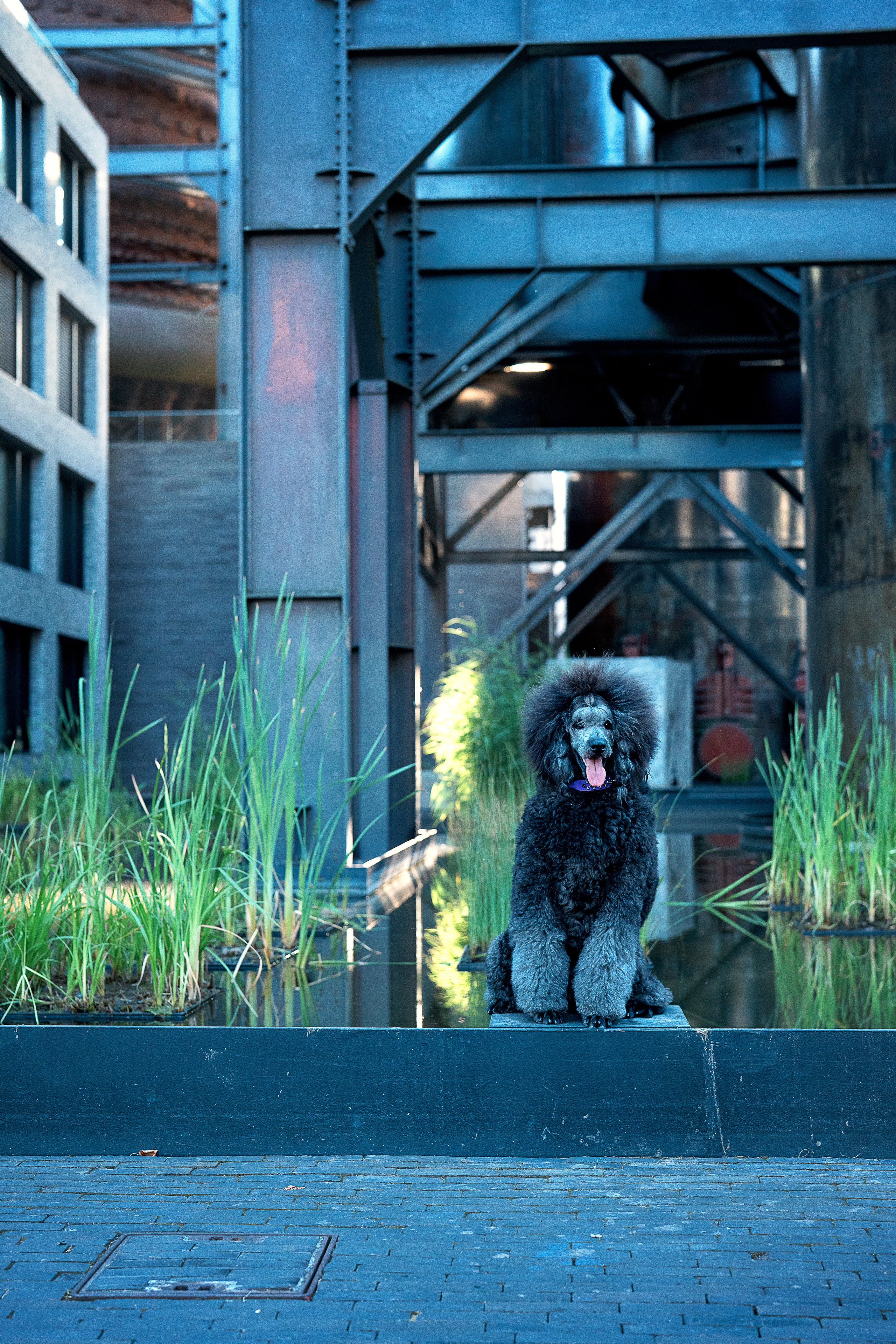 Alexandra Lord Stella. Familien, Portrait und Konzeptualfotografie in Genf, Schweiz