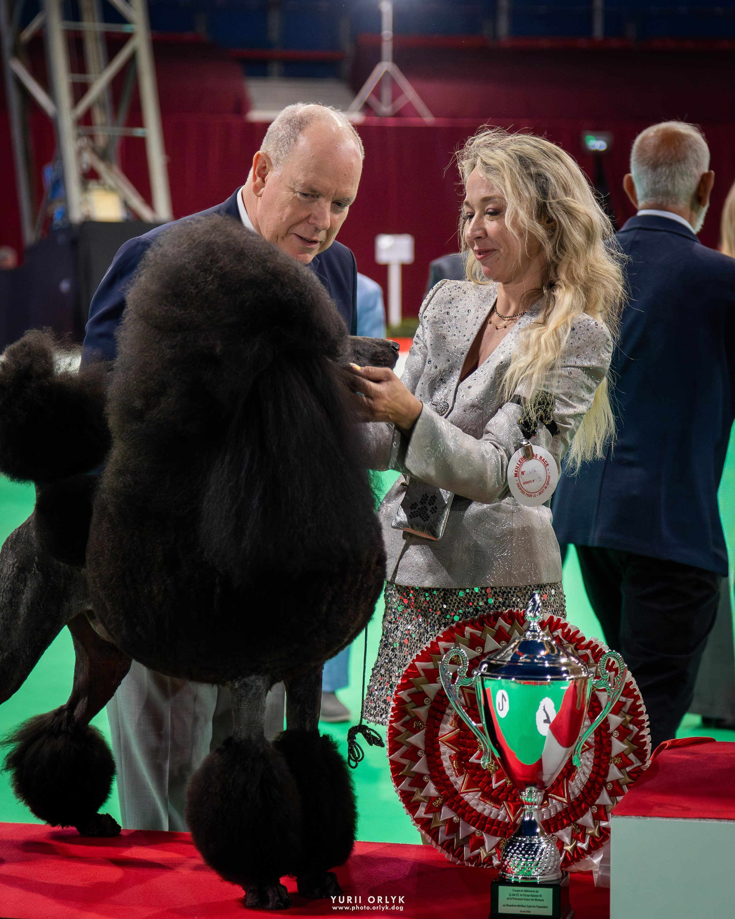 Dog Shows. Yurii Orlyk Photography
