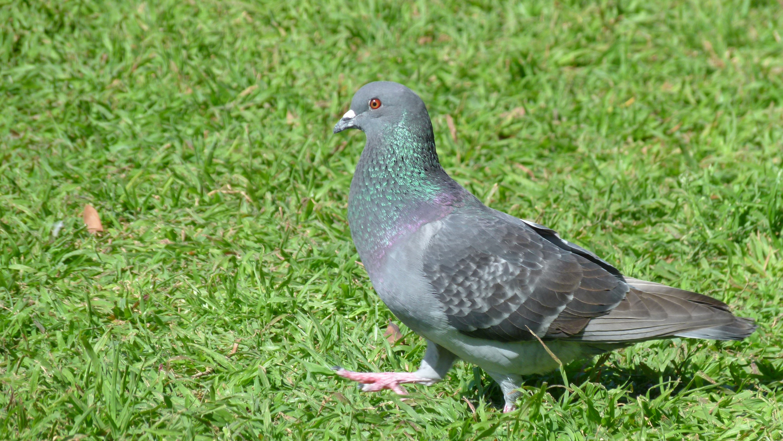 ISRAEL and beautiful people