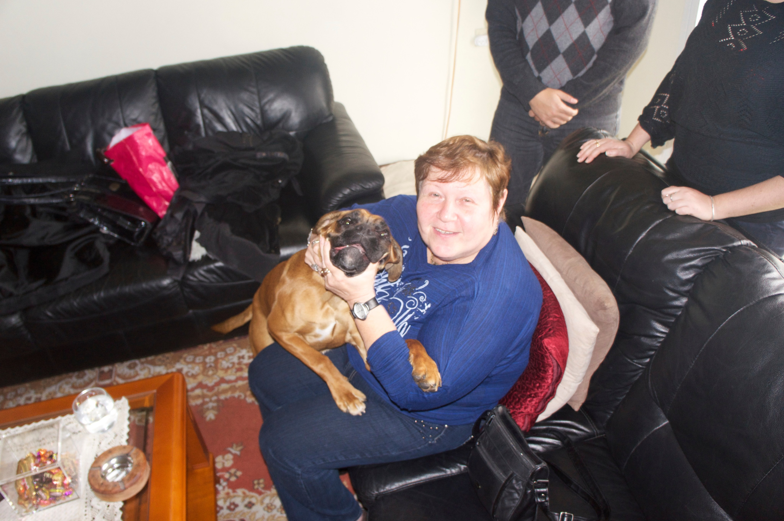 My ״Star״ Boxer Dog