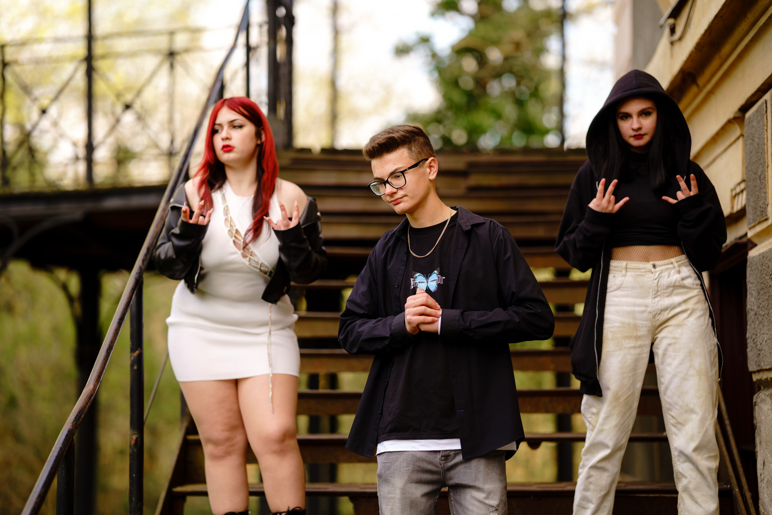 Distracție Gratuit. Trendy Albums