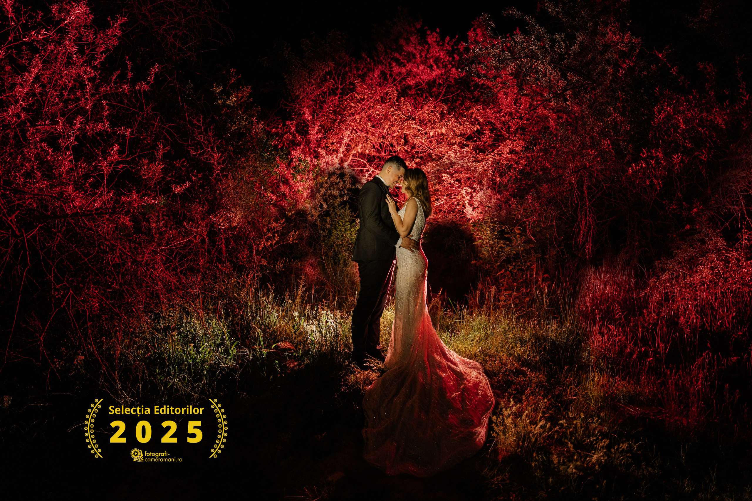 Best Of. Spoiala Brothers — Wedding Films & Photography