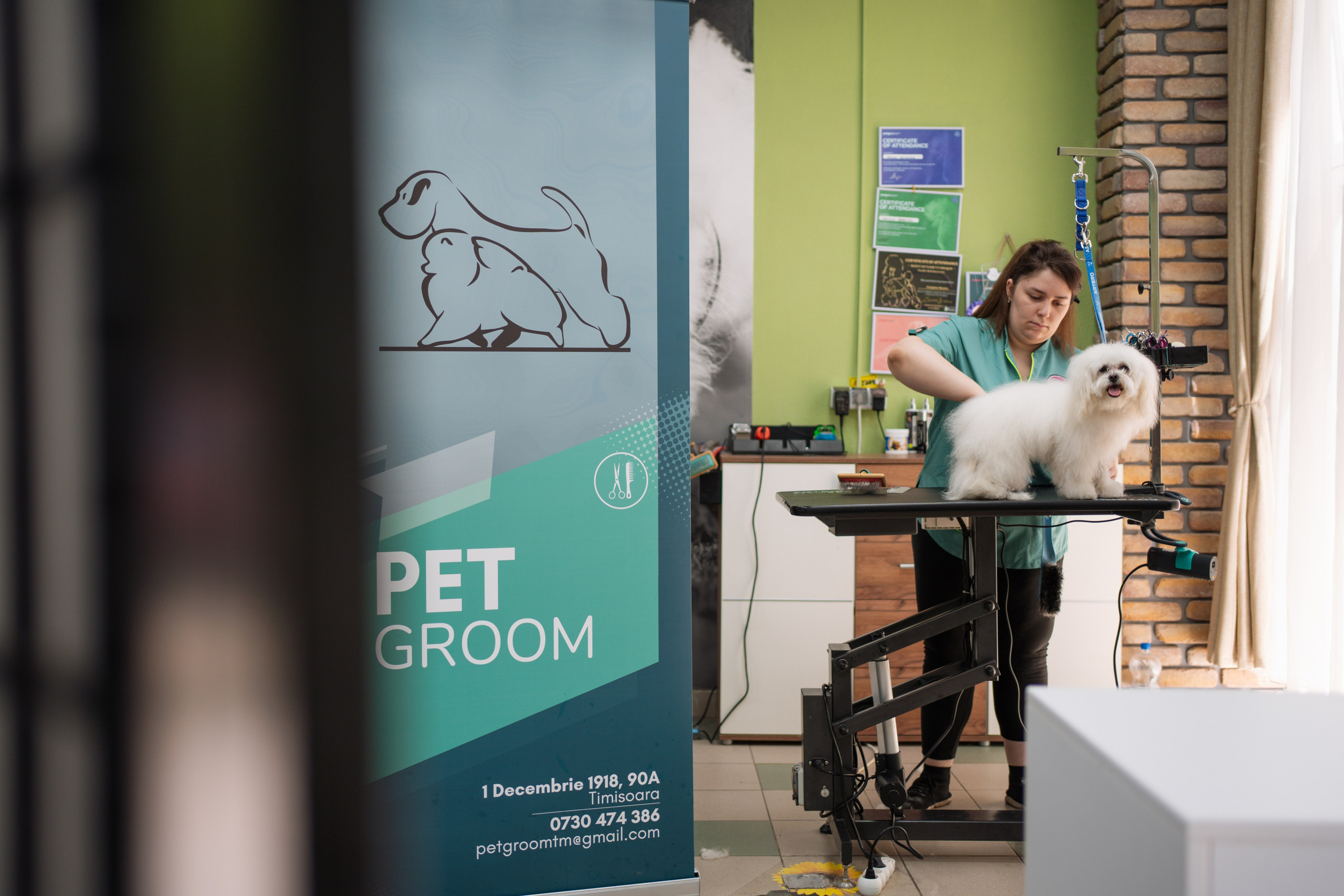 PetGroom Timisoara. Cozac Cristian Photographer