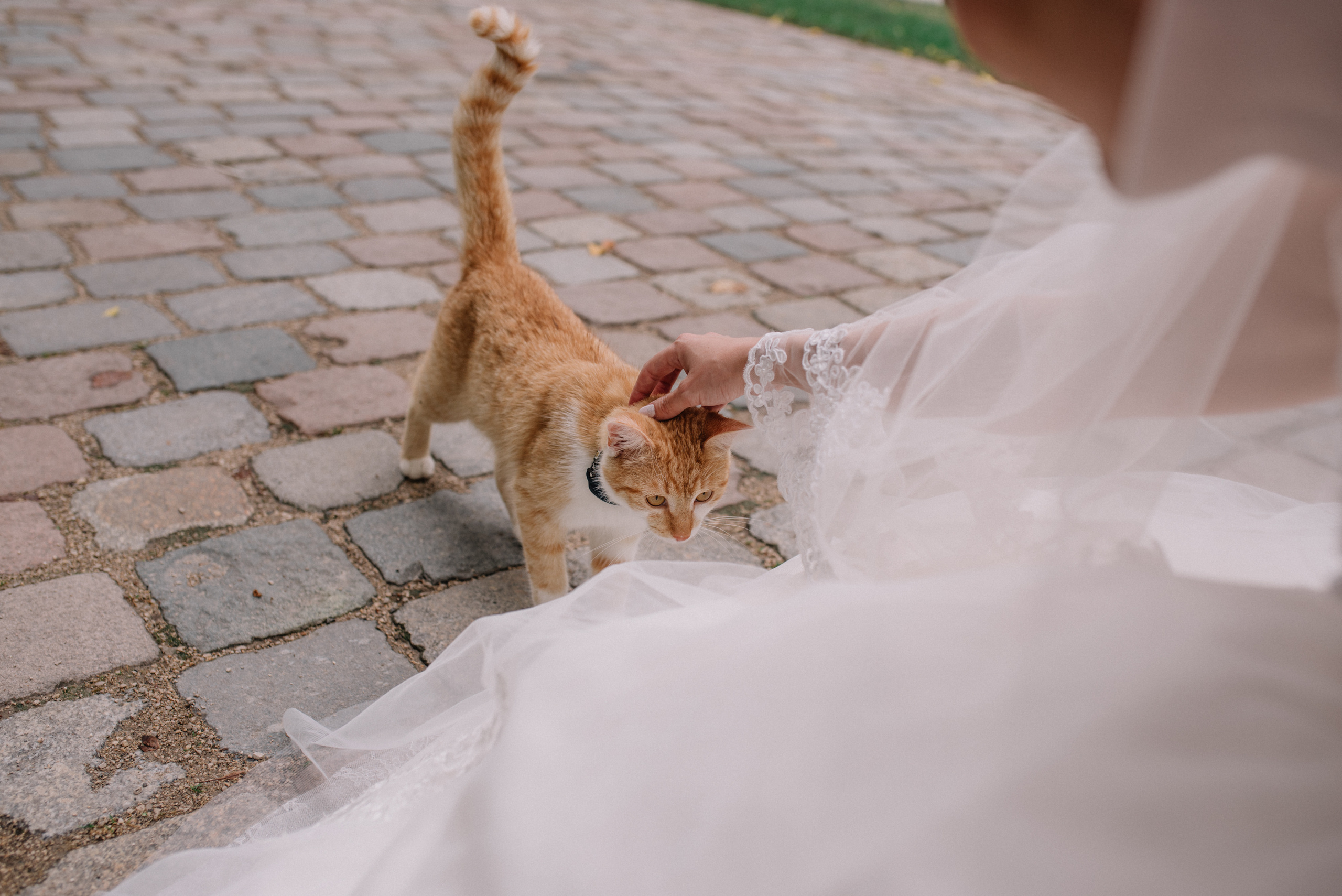 Anastasia & Johahn. Khanoff production