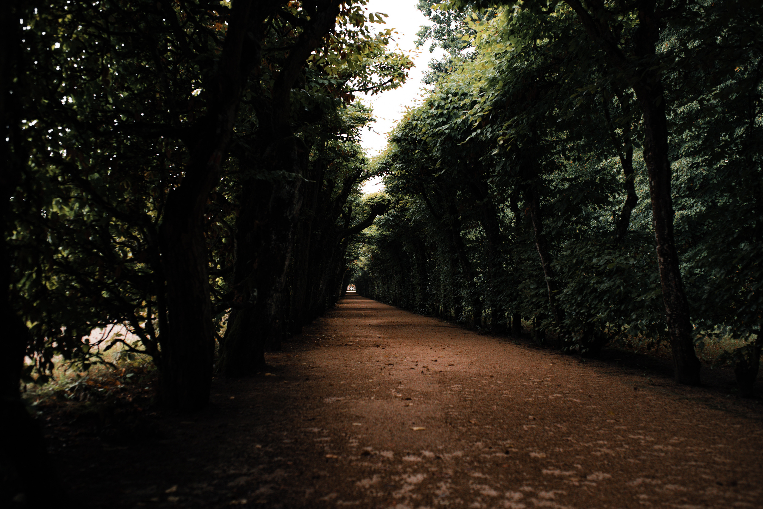 Anastasia & Johahn. Khanoff production