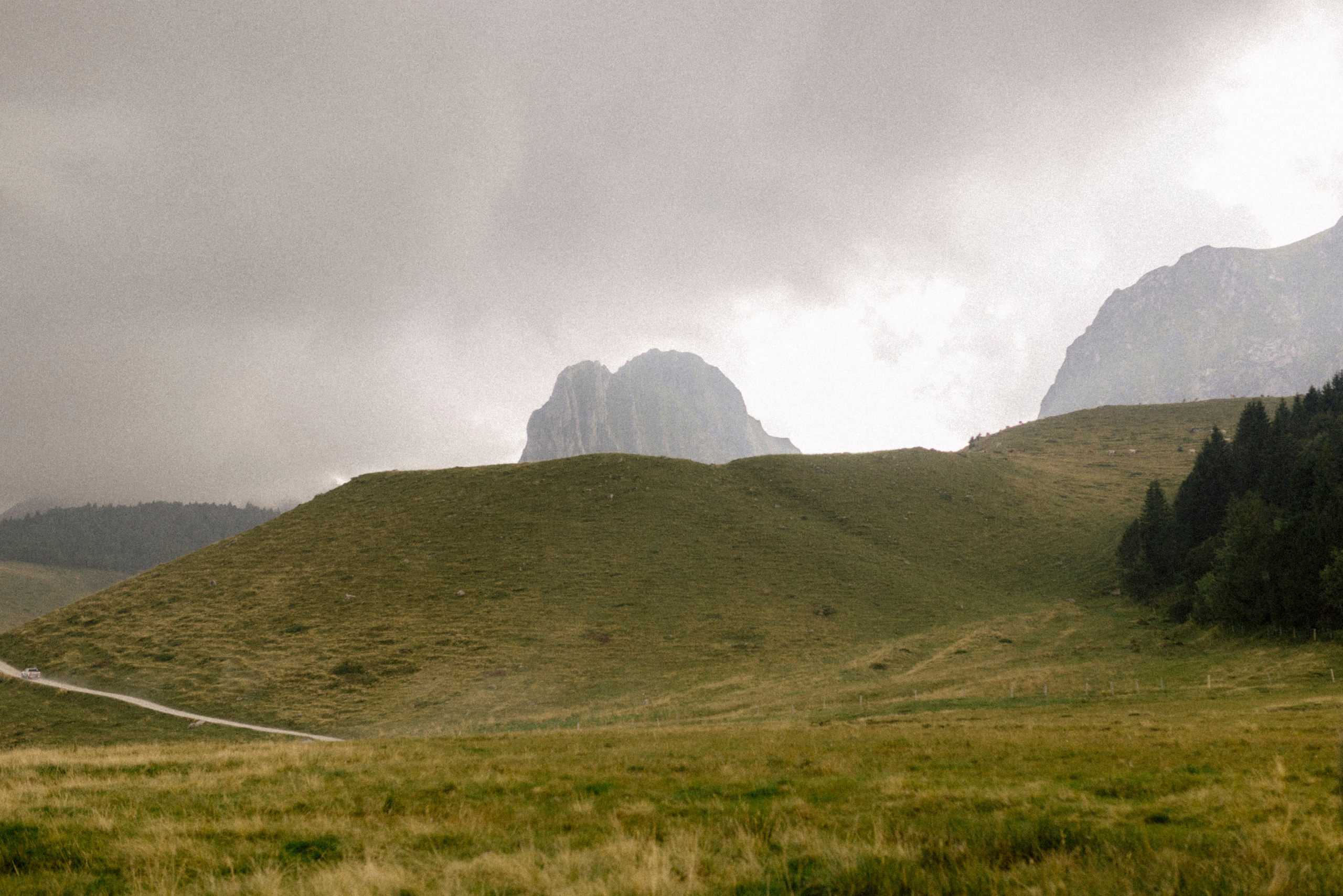 Emily + Casey. Polina Sobol — family & documentary photographer in Bern. Outdoor & urban photo sessions for families, kids and couples