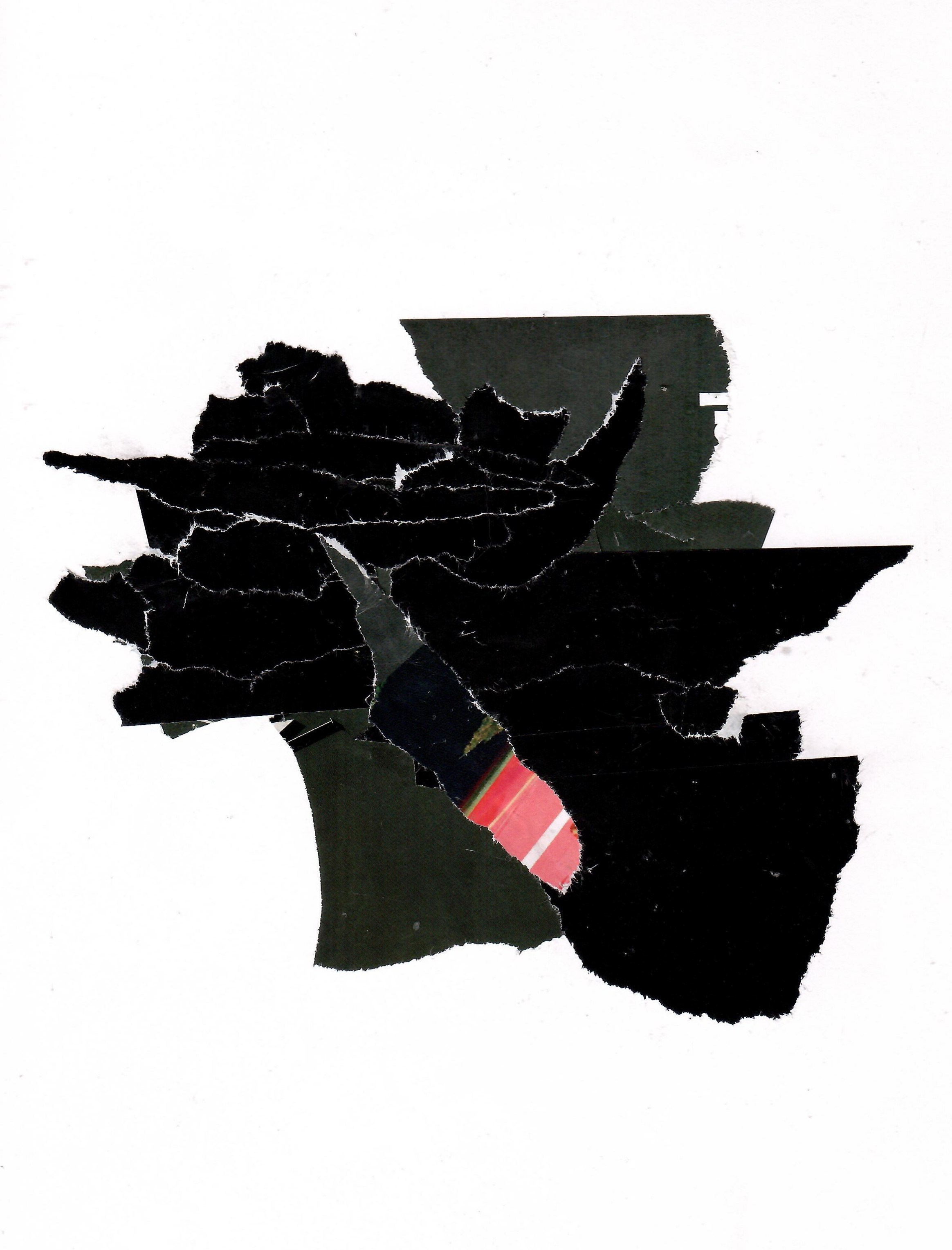 Рина Луковникова. Художник-коллажист