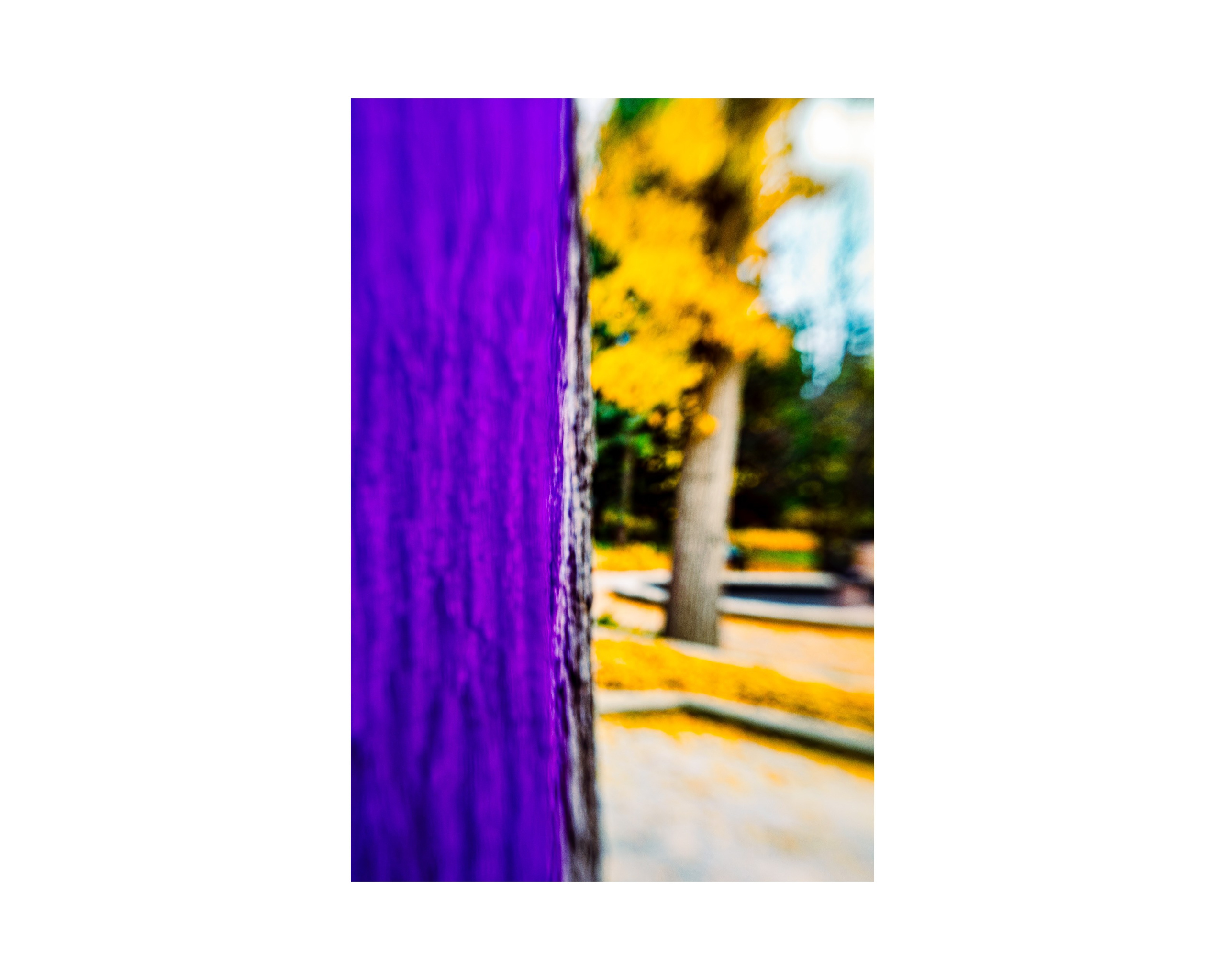 Nature from Exaggerated Worlds. Ekaterina Tsurkina-Appina Photography Canada