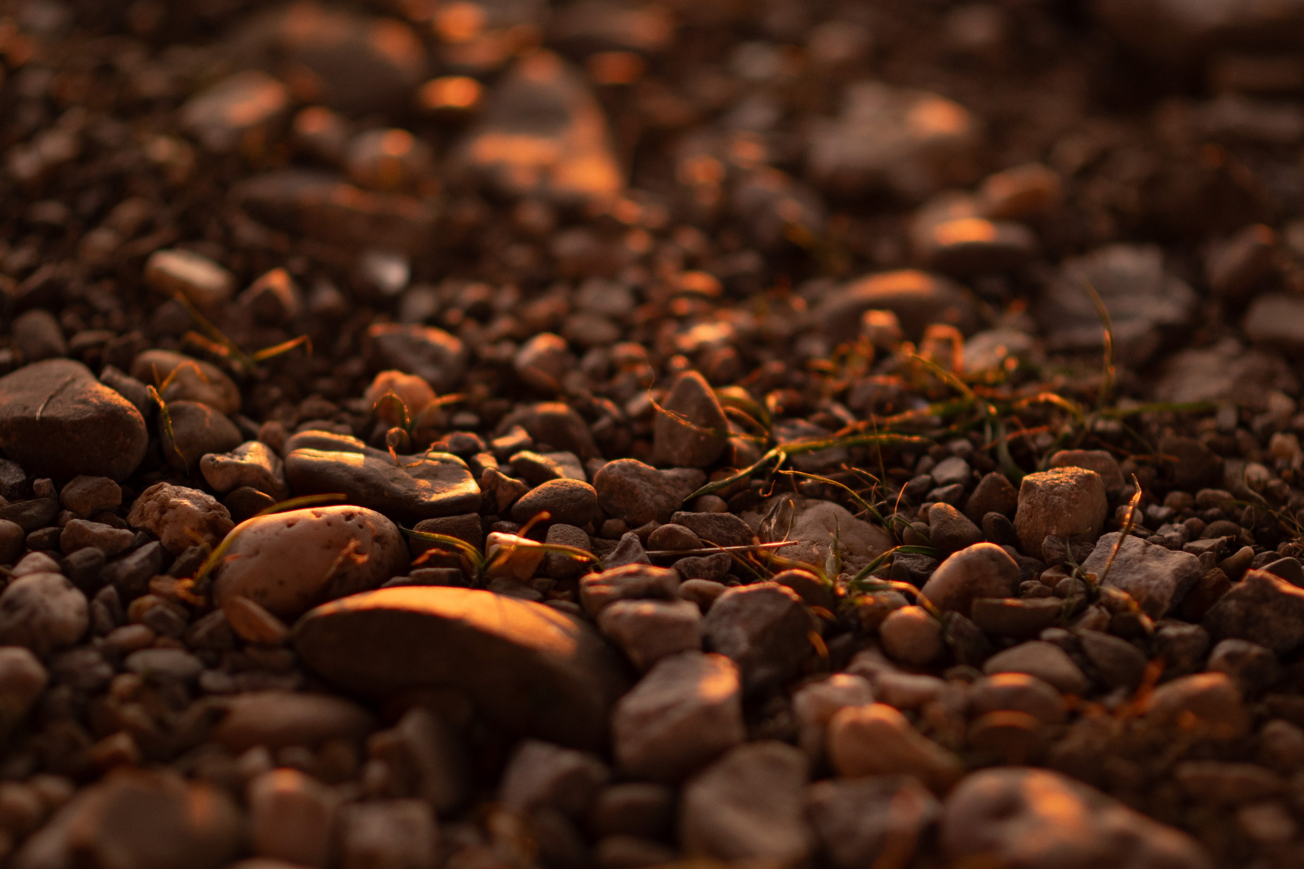 Timeless love in Düsseldorf. Фотограф в Нюрнберге Ирина Менерт из Ансбаха