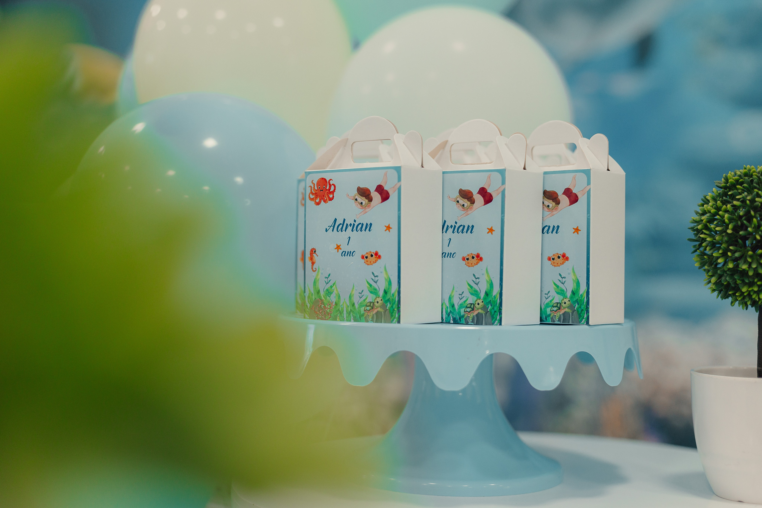 Aniversários. Bruno Manarin