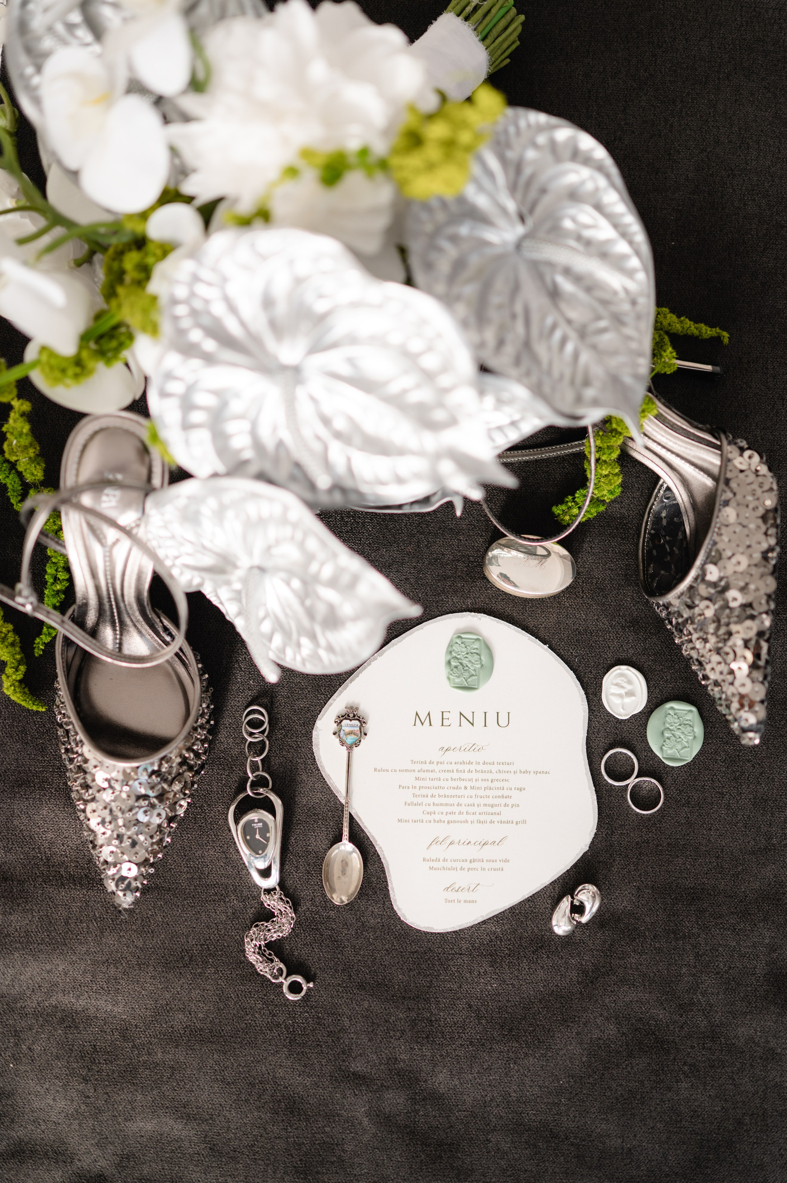 Bride with a concept silver Chrome. Alexandra Hanu Photographer