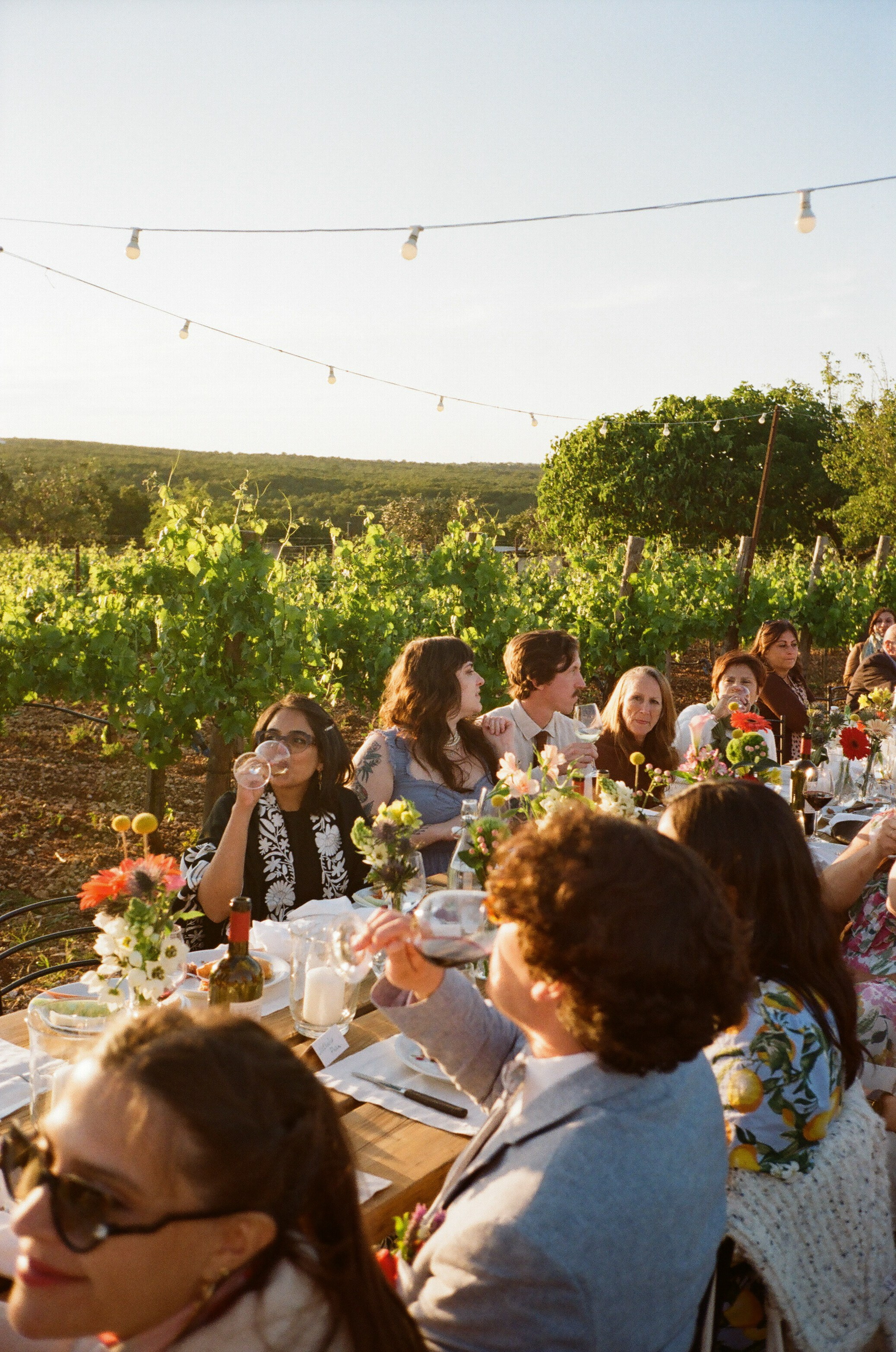 Stephanie & Christian film photos. Весільний фотограф Вікторія Саврук