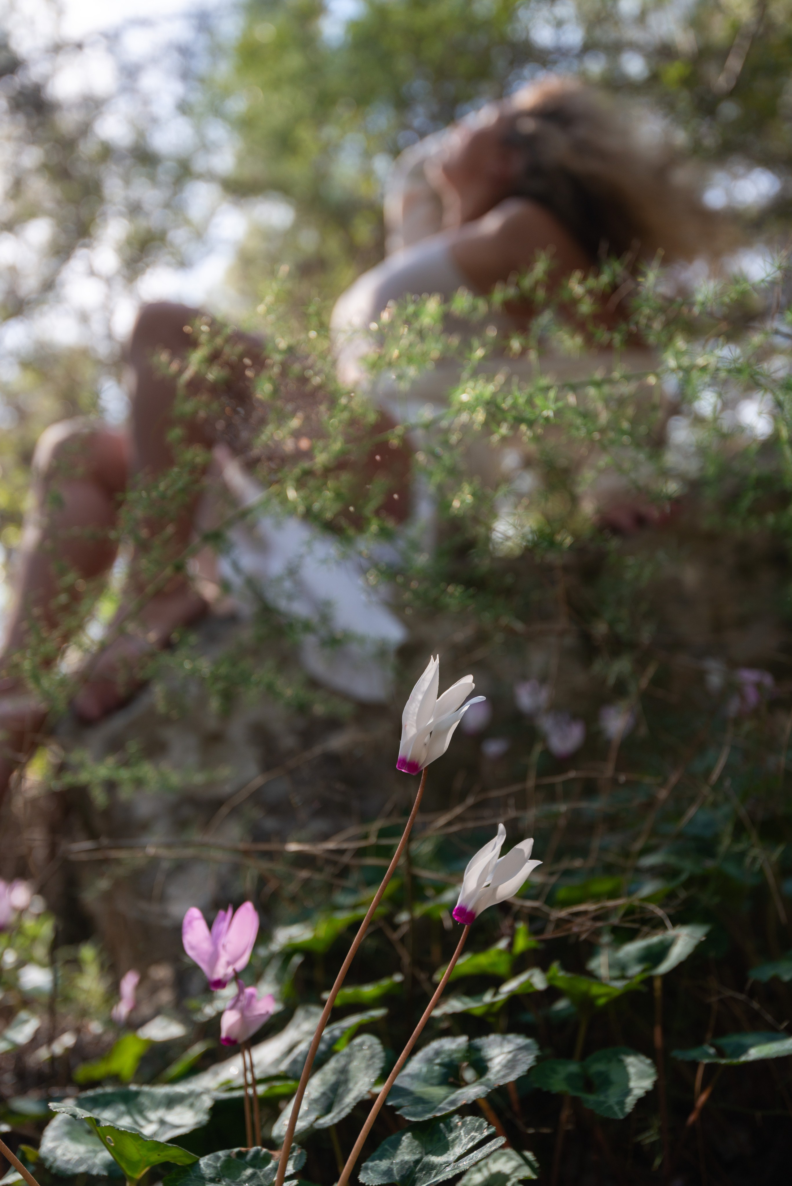 Blooming photoshoot. Dina Solomina | Photographer in Israel