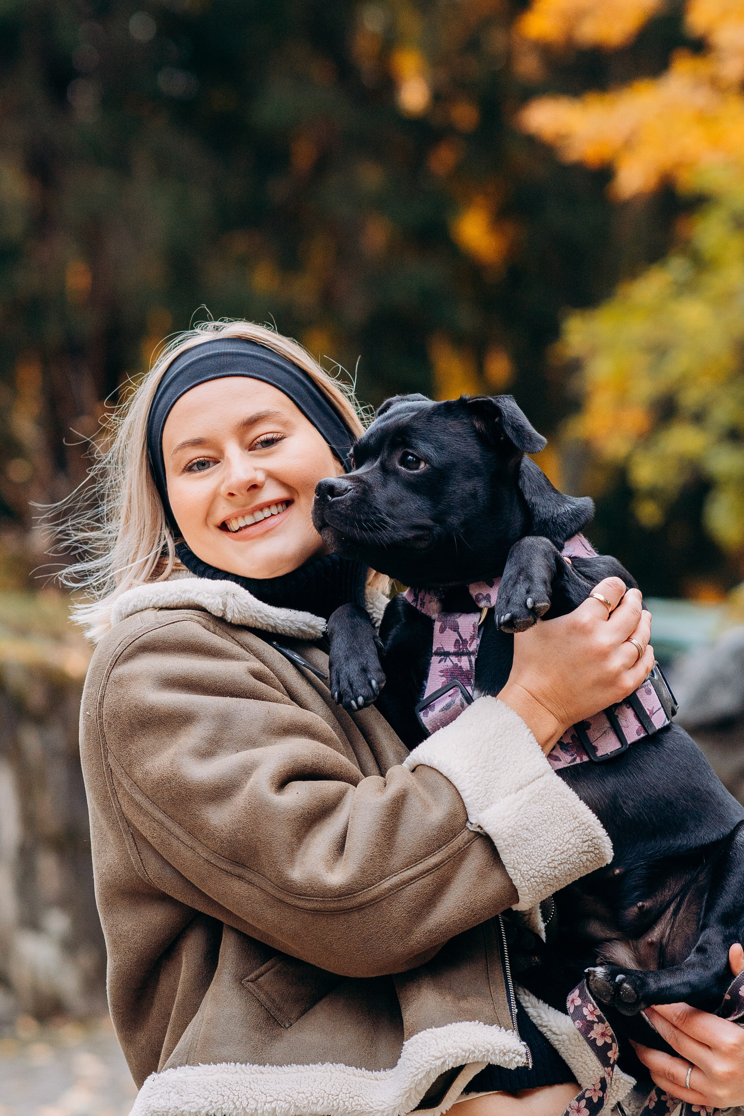 Staffordshire Bull Terriers Meetup. Kat Laisaar — Pet photographer in Tallinn