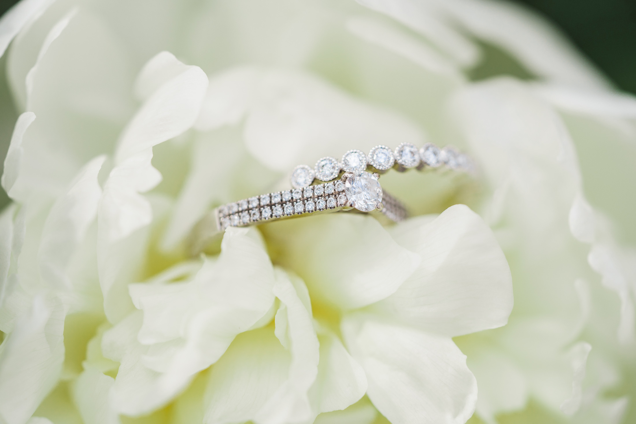 Hääkuvaus Lepolammessa