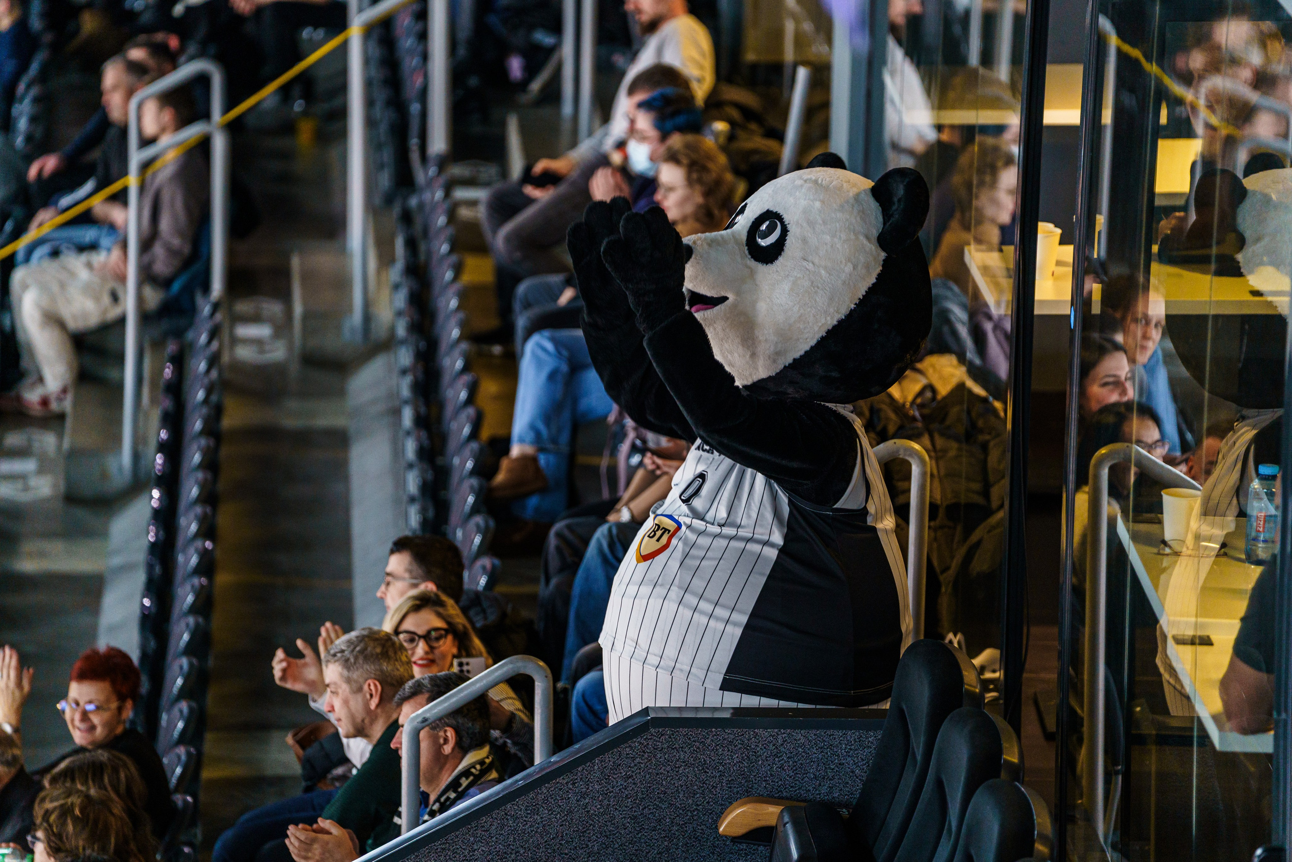 BASCHET. Alecsandru Braicu — Fotograf Sportiv