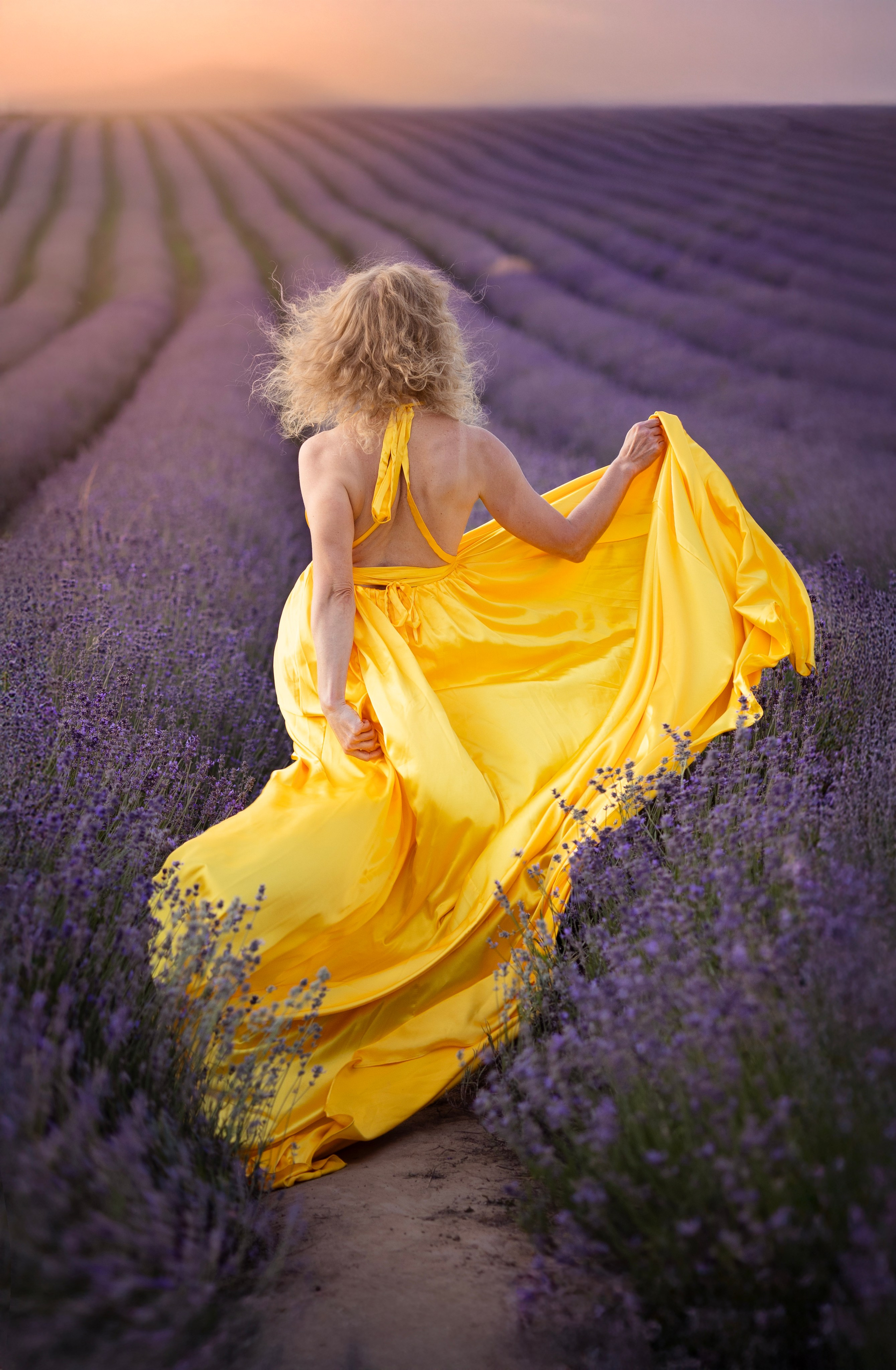 Lavendel. Photographer in Munich