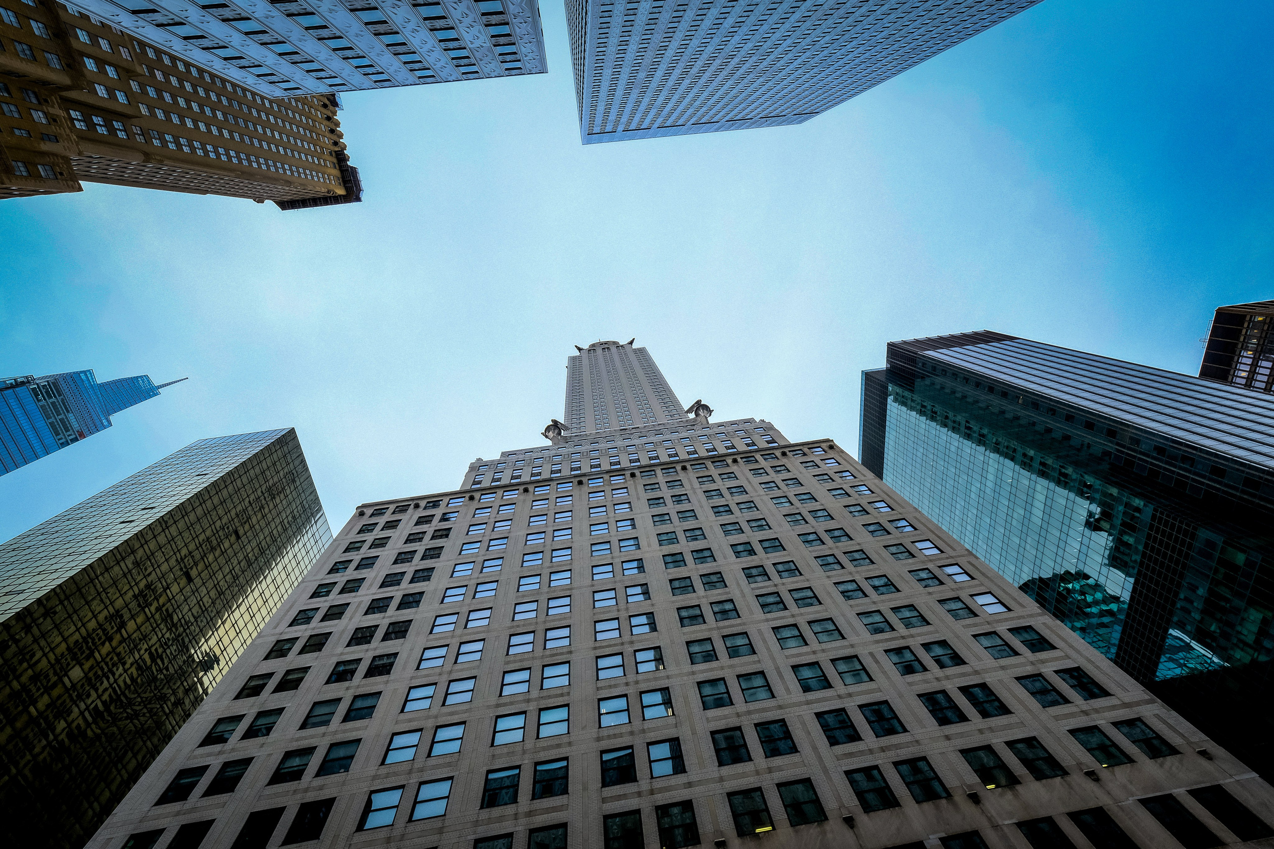 NEW YORK / 2025. Reportage concert portrait photography in the San Francisco Bay Area