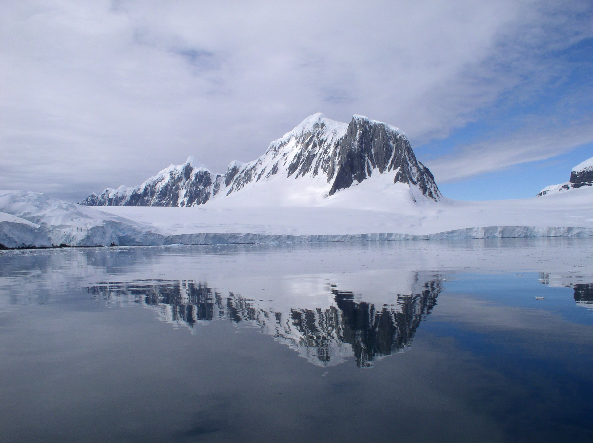 ANTARCTICA. Reportage concert portrait photography in the San Francisco Bay Area