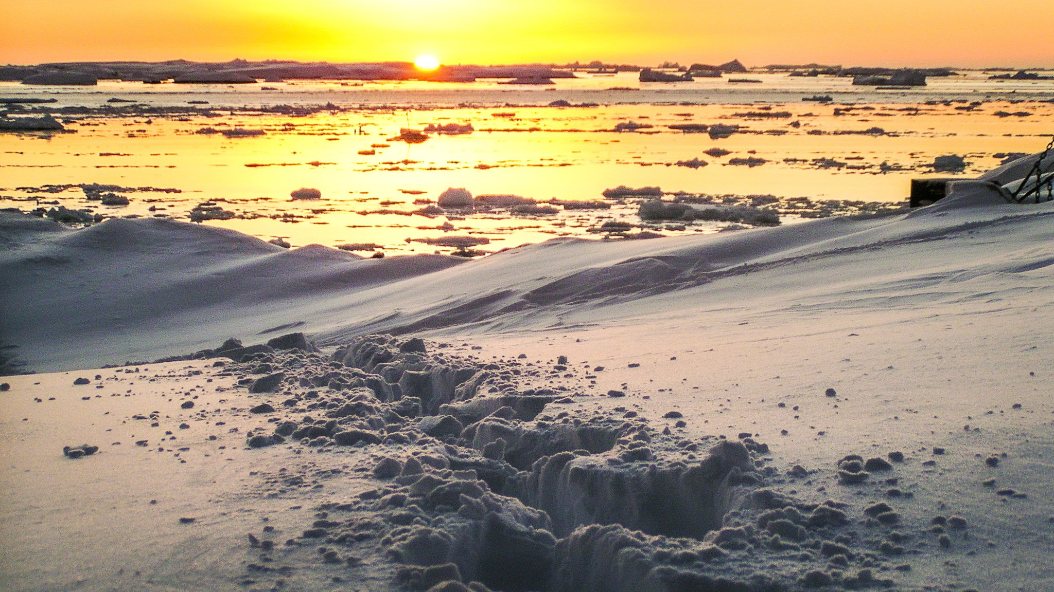 ANTARCTICA / 2004. Reportage concert portrait photography in the San Francisco Bay Area