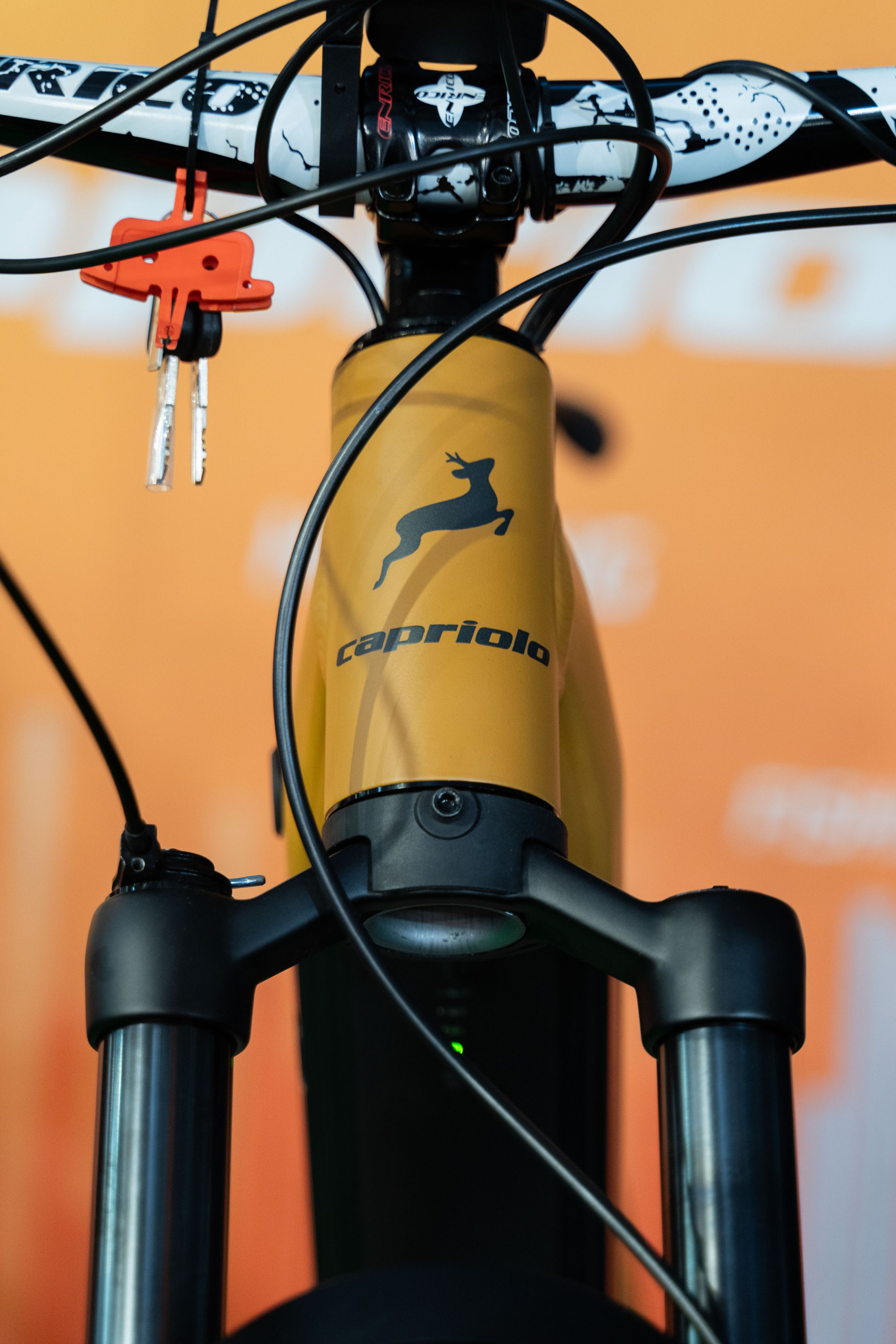 Electric Vehicles Days in Novi Sad 2024. Жуков Студио