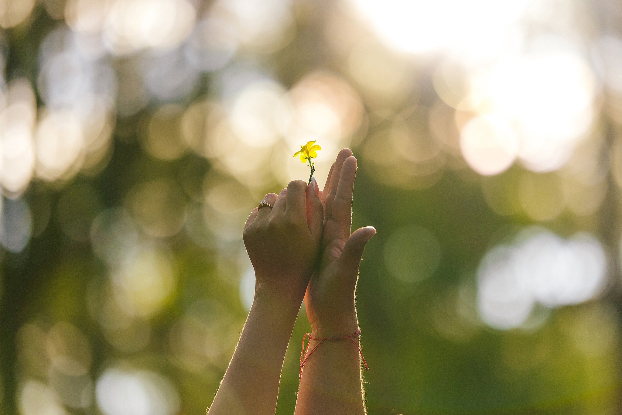 Galería Momentos. Jorge Romero Fotógrafo de bodas