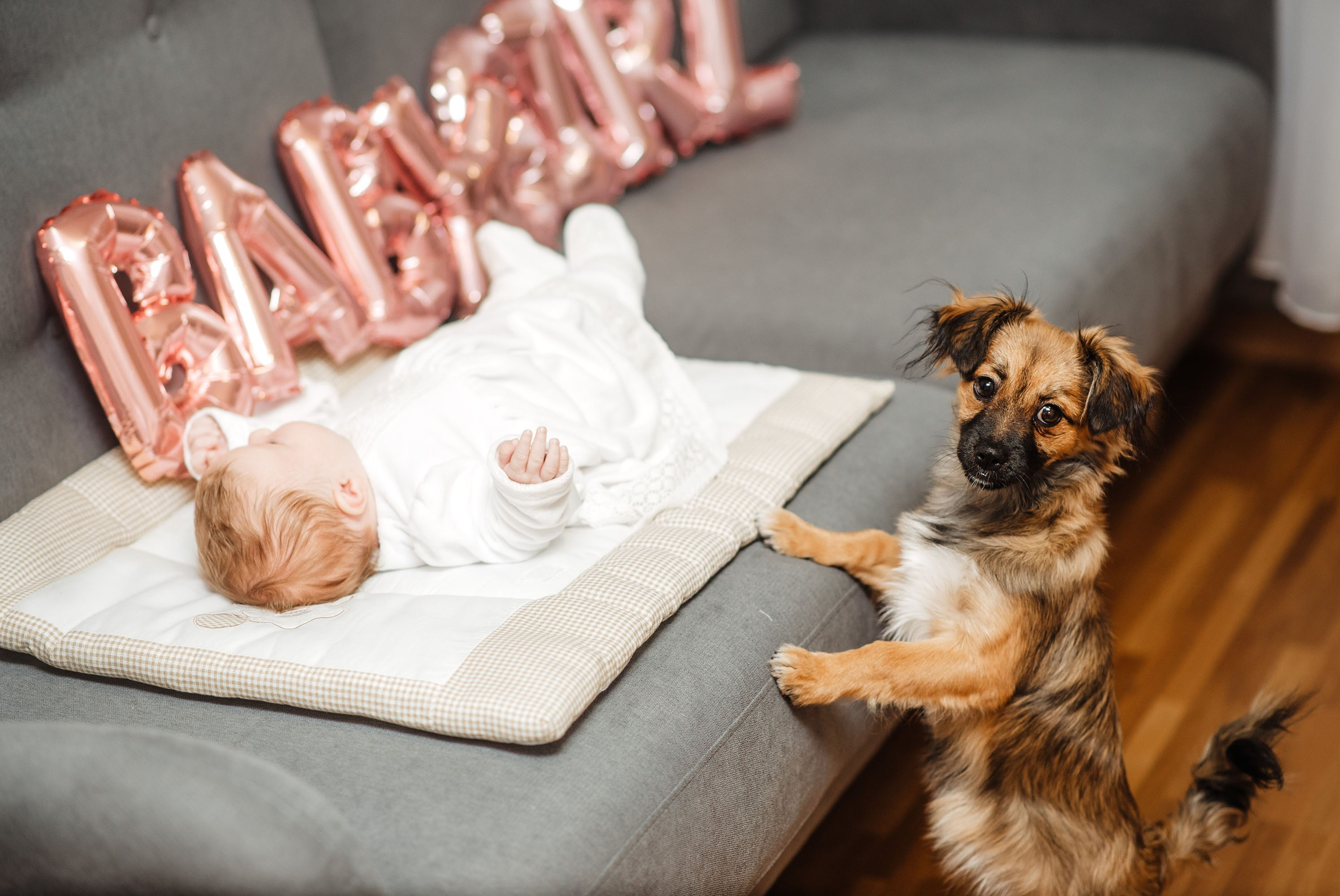 Фотосесія хрещення. Злата. Весільний та портретний фотограф Кизим Арсен