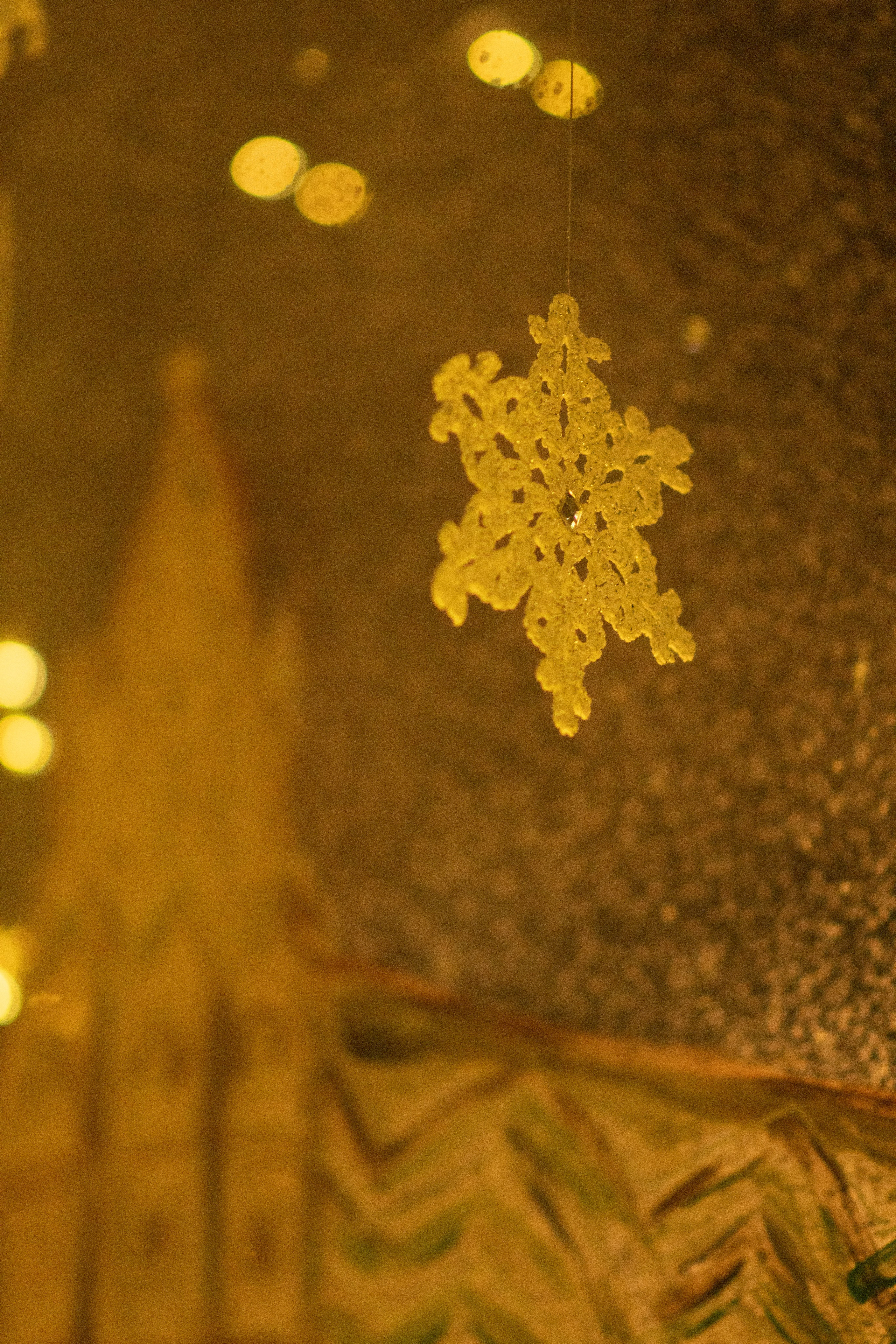 Проект. Семейный и детский фотограф