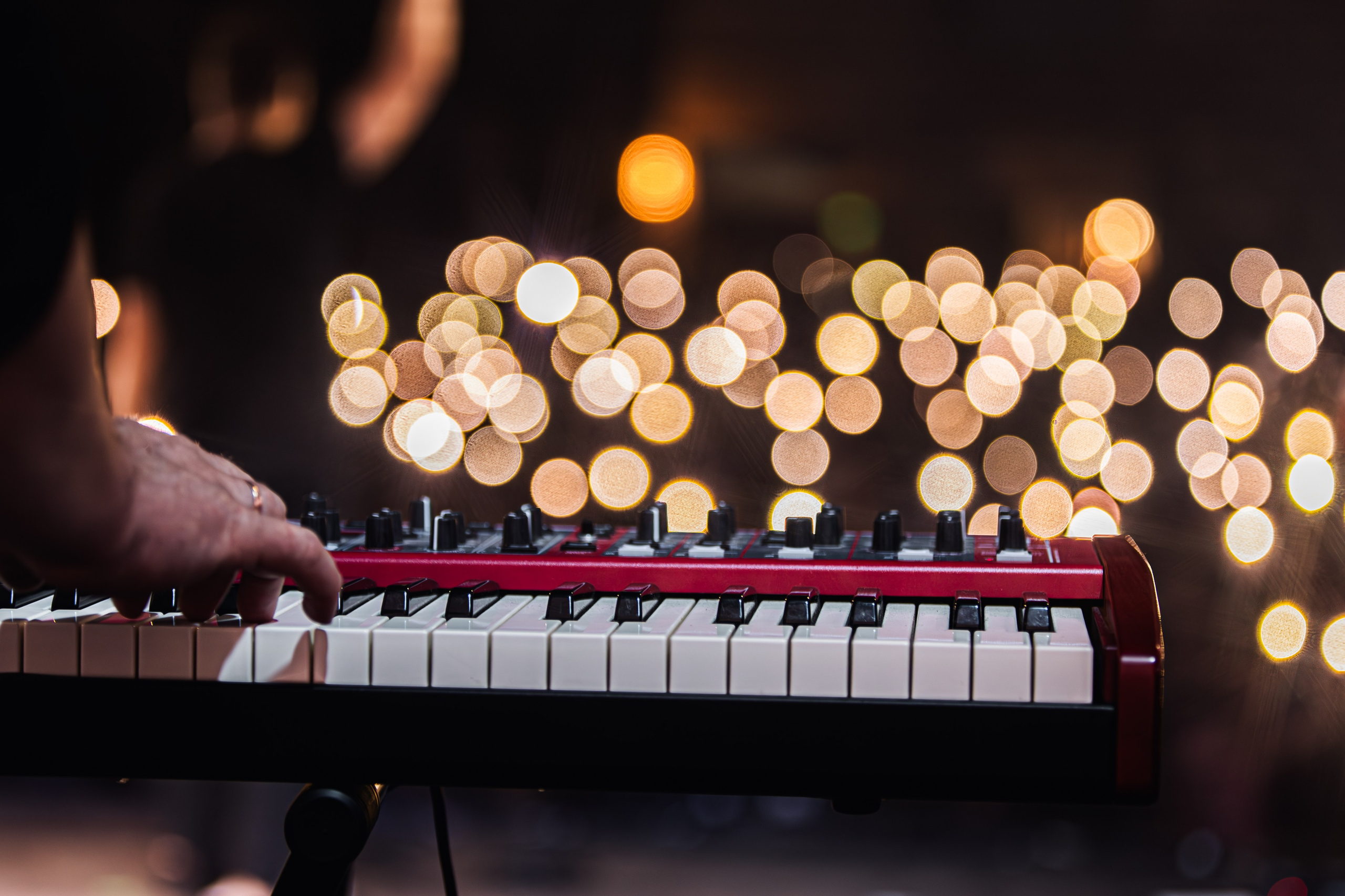 Скай. Репортажний фотограф/анімаліст КИЇВ