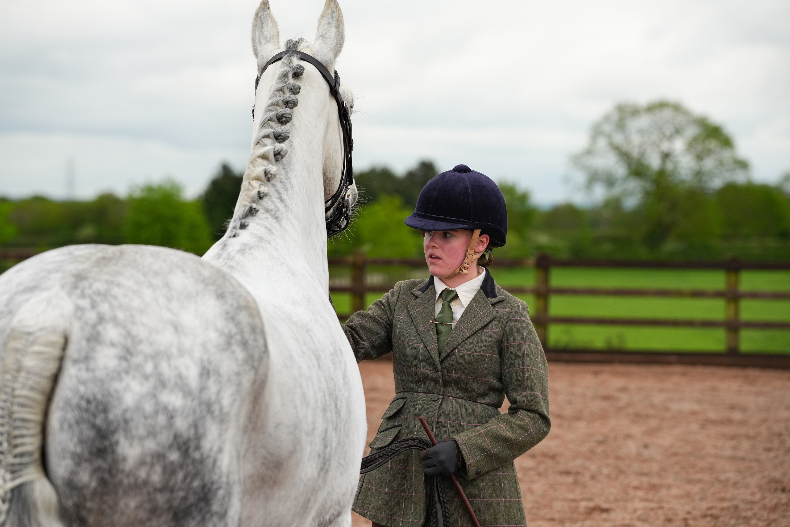 Showing. Leicestershire Equine Photography by El | Authentic Equine Portraits & Events