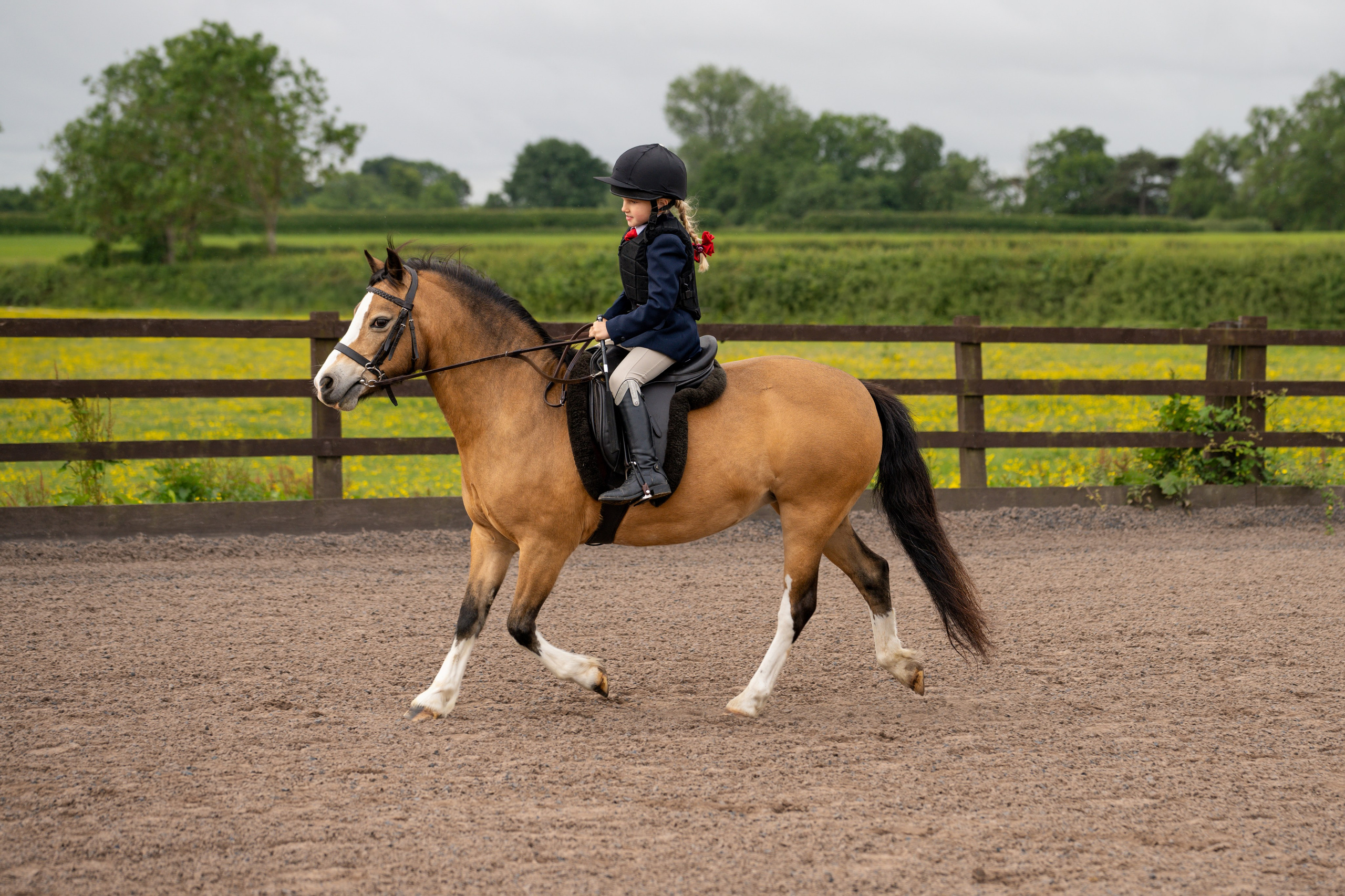 Show Jumping Photography in Leicestershire | Equine Action Shots by El. Leicestershire Equine Photography by El | Authentic Equine Portraits & Events