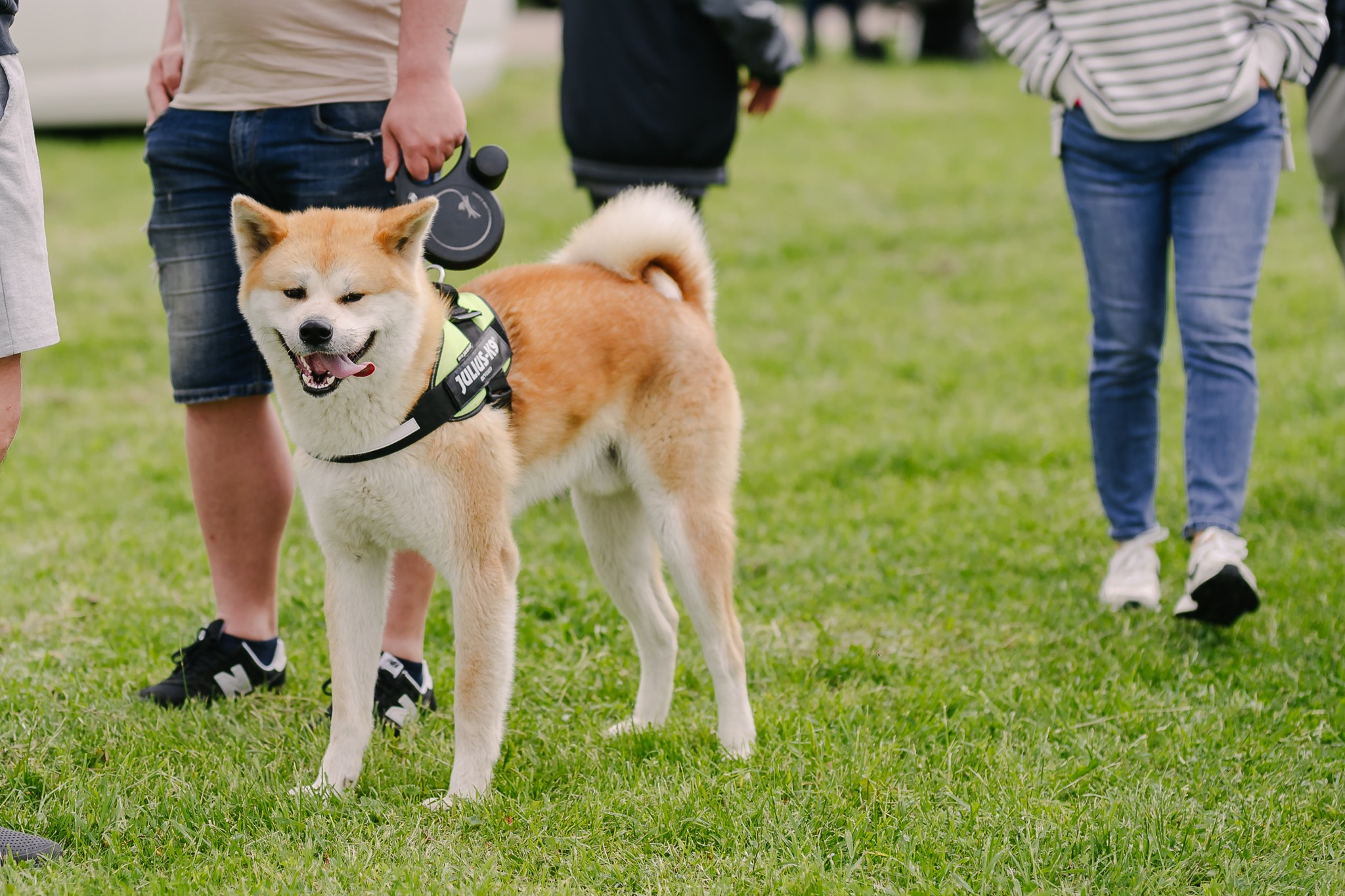Saulė virė | Laimės festivalis. Rokas Baranauskas fotografija
