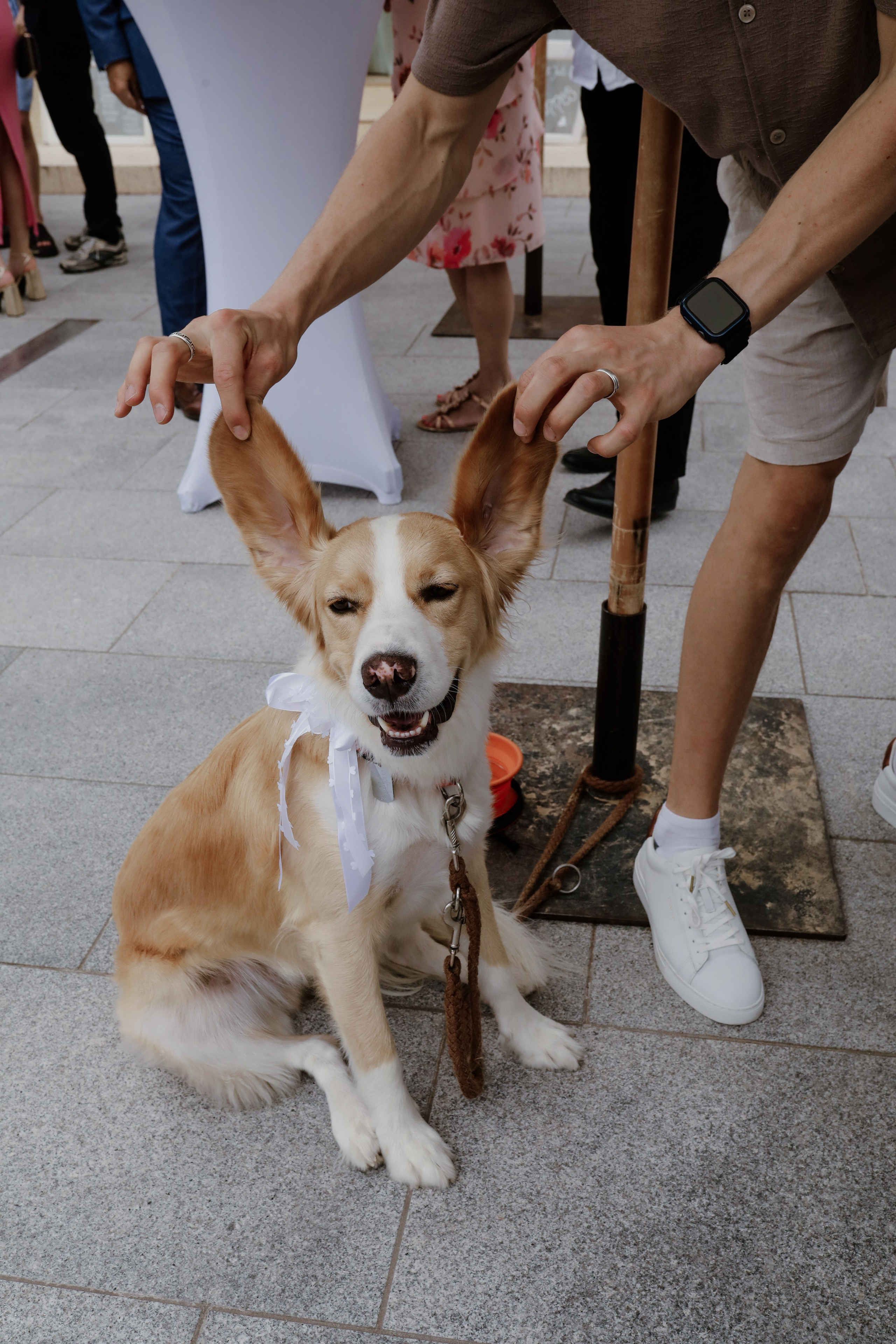 Romantisches Fotoshooting im Garten des Schlösschens Limburgerhof. Hochzeitsfotograf und Familienfotograf in Neustadt an der Weinstraße, Haßloch, Ludwigshafen, Speyer und Landau - Ekaterina Seoud