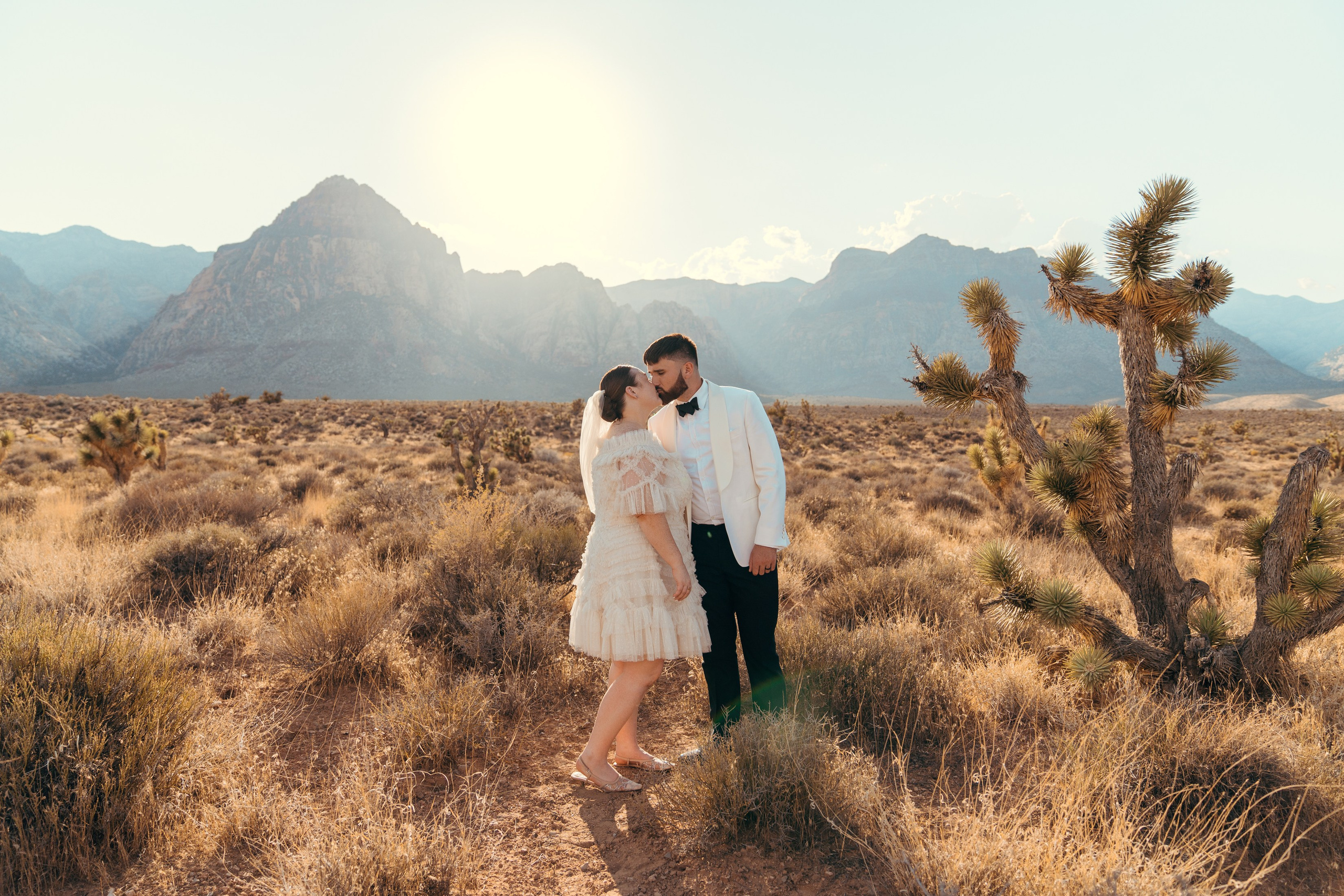 Cassie&Jimmy. Wedding & elopement photographer Viktoriya Kravtsov. Las Vegas