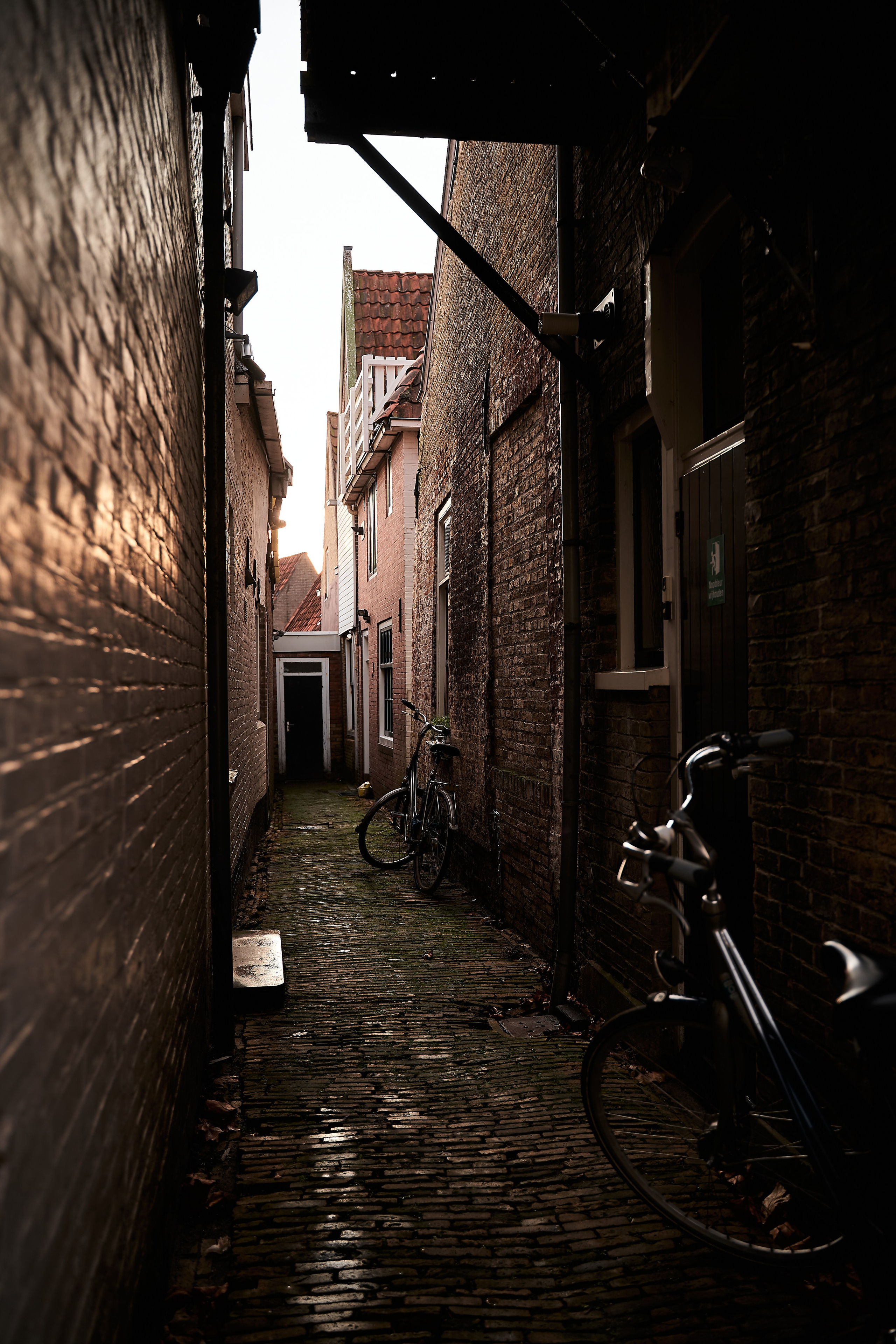 Netherlands. Denshyr — Visual Artist