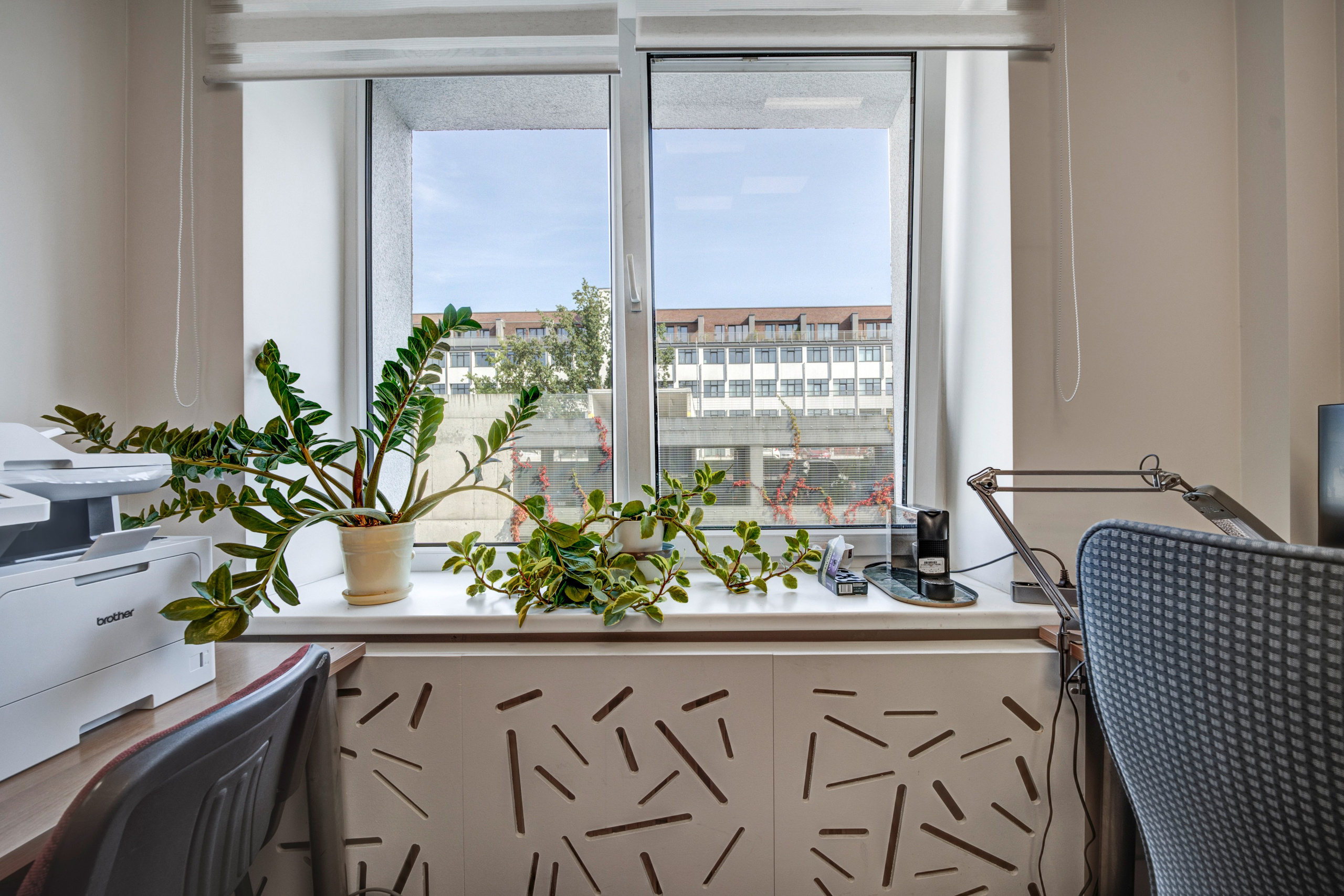 Saltoniškių g. 31. Elina Sapiega fotografė Vilniuje