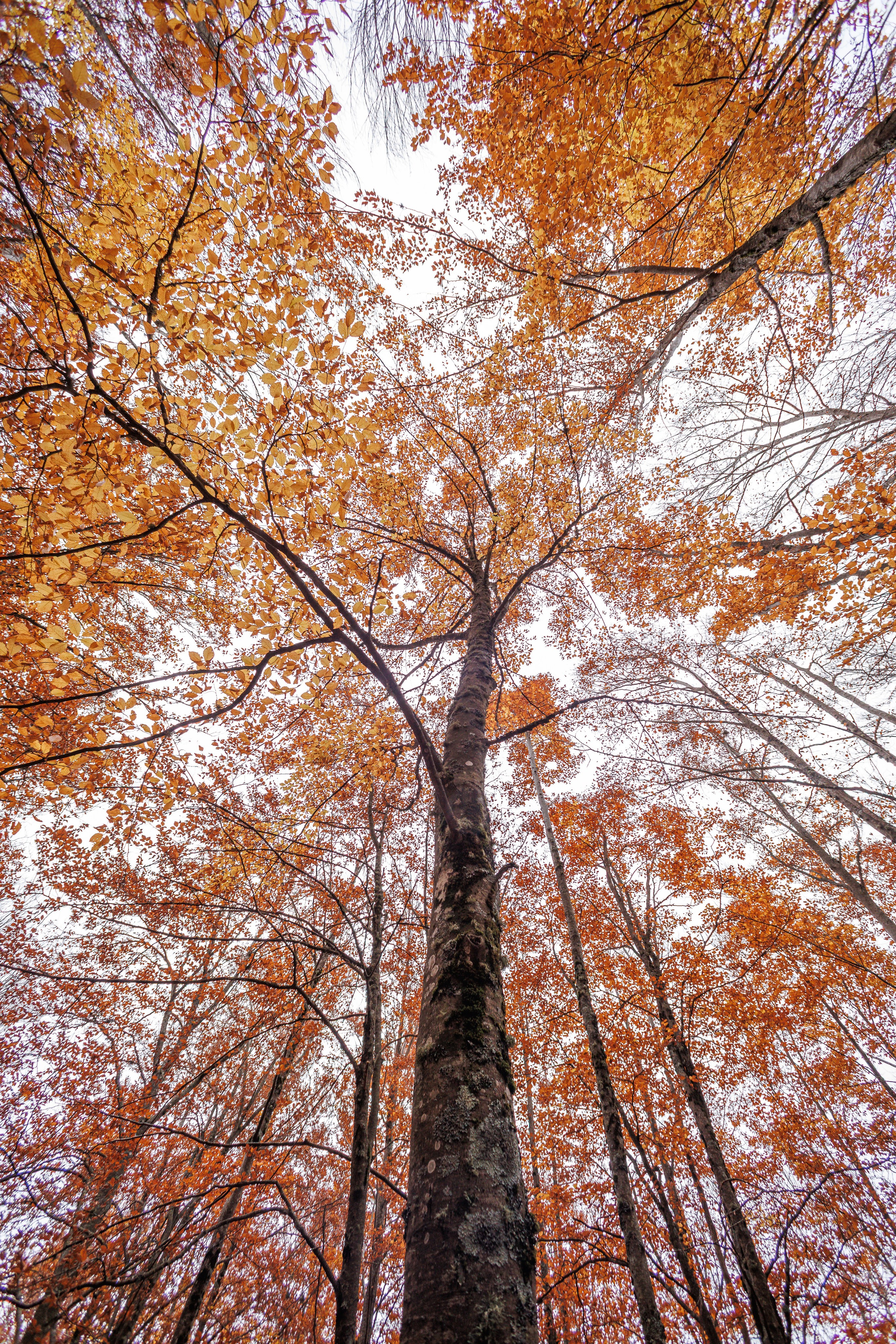 Fotografia de Natureza – Portfólio | Paulo Marques Photography. Paulo Marques Photography