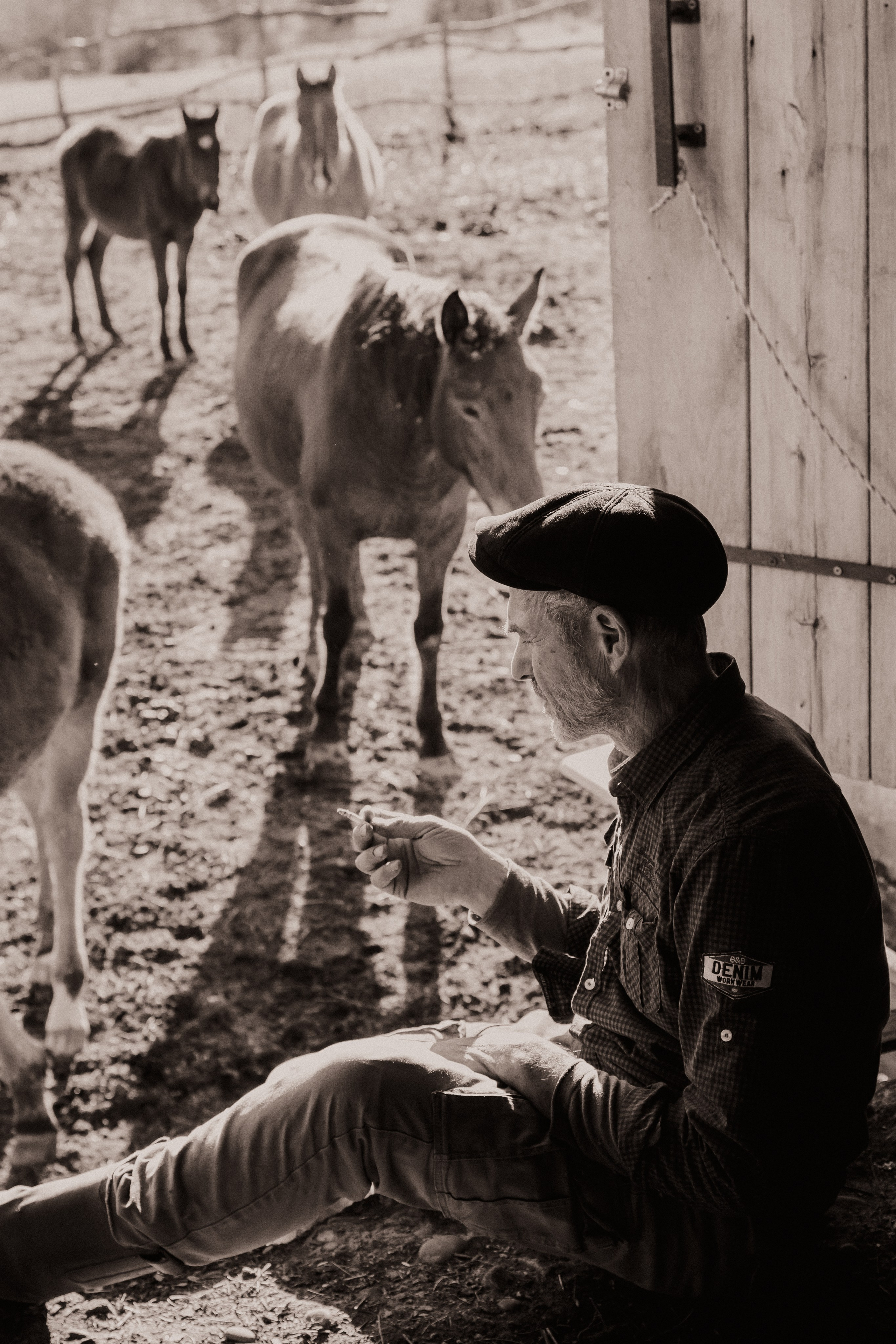 Riding Georgia. Lidia Golovina, Photographer in Tbilisi