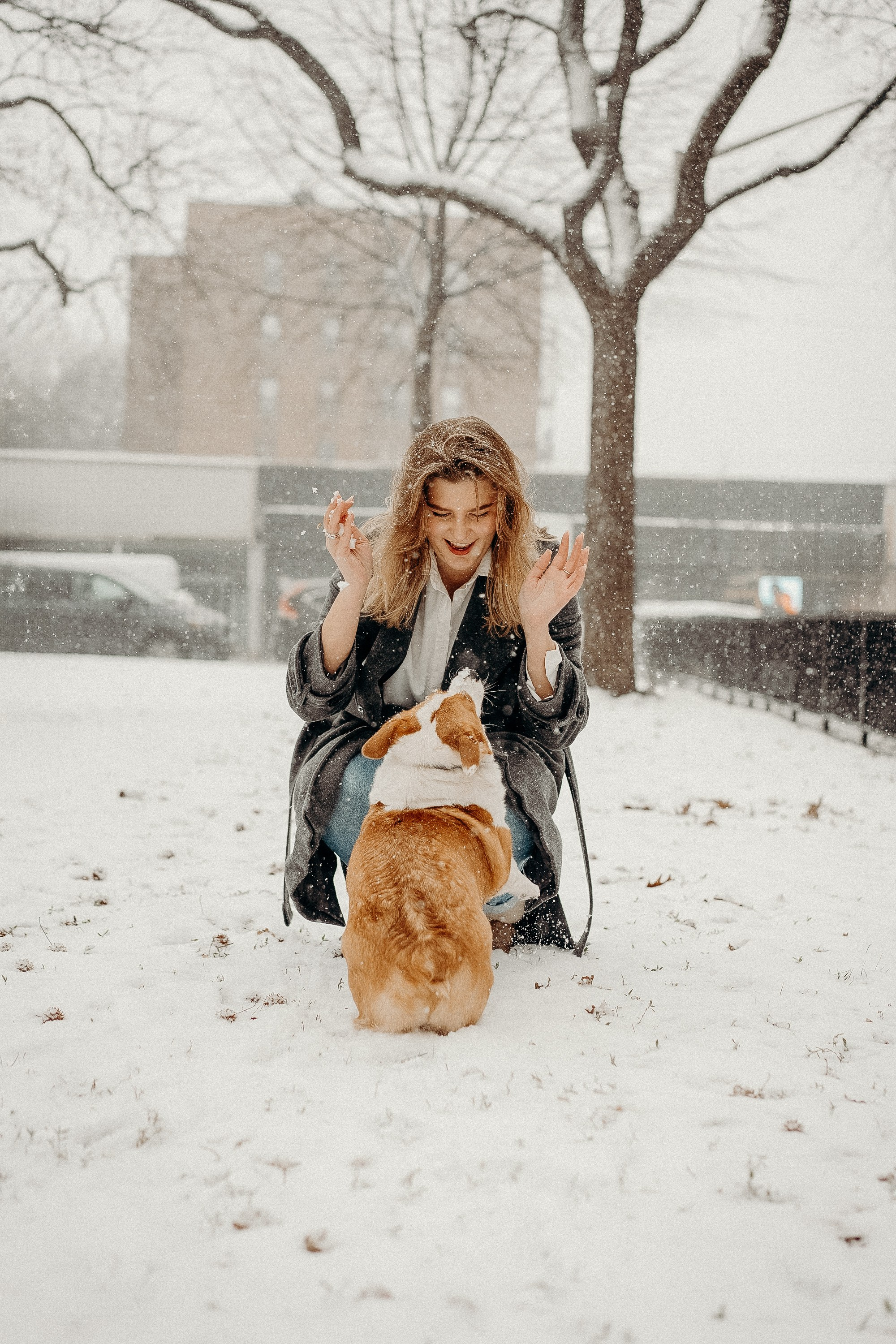 Photos of a little corgi and her owner. Portrait and wedding photographer in New York