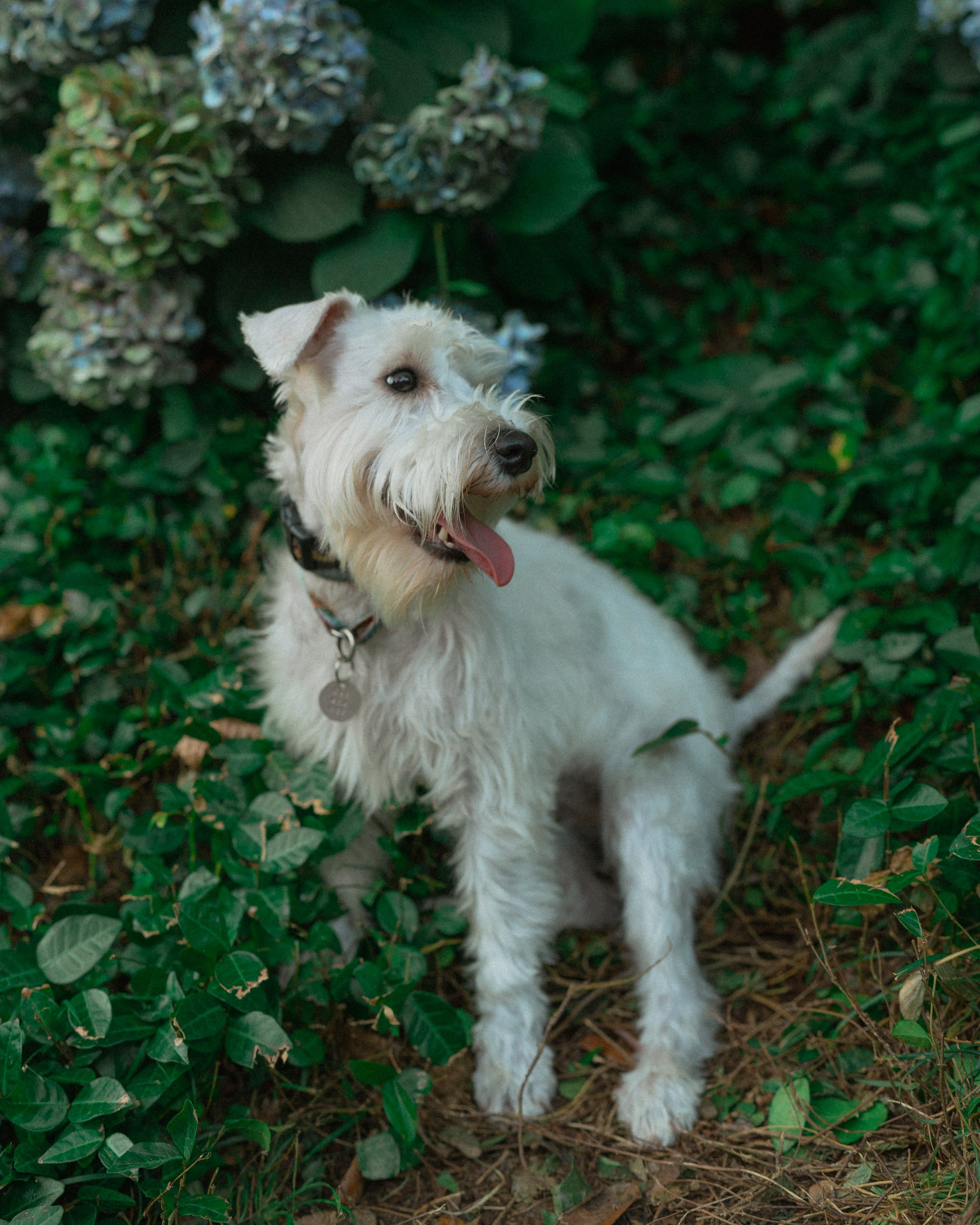 Ольга и Халва. Индивидуальный и свадебный фотограф в Батуми Валерия Азаренко