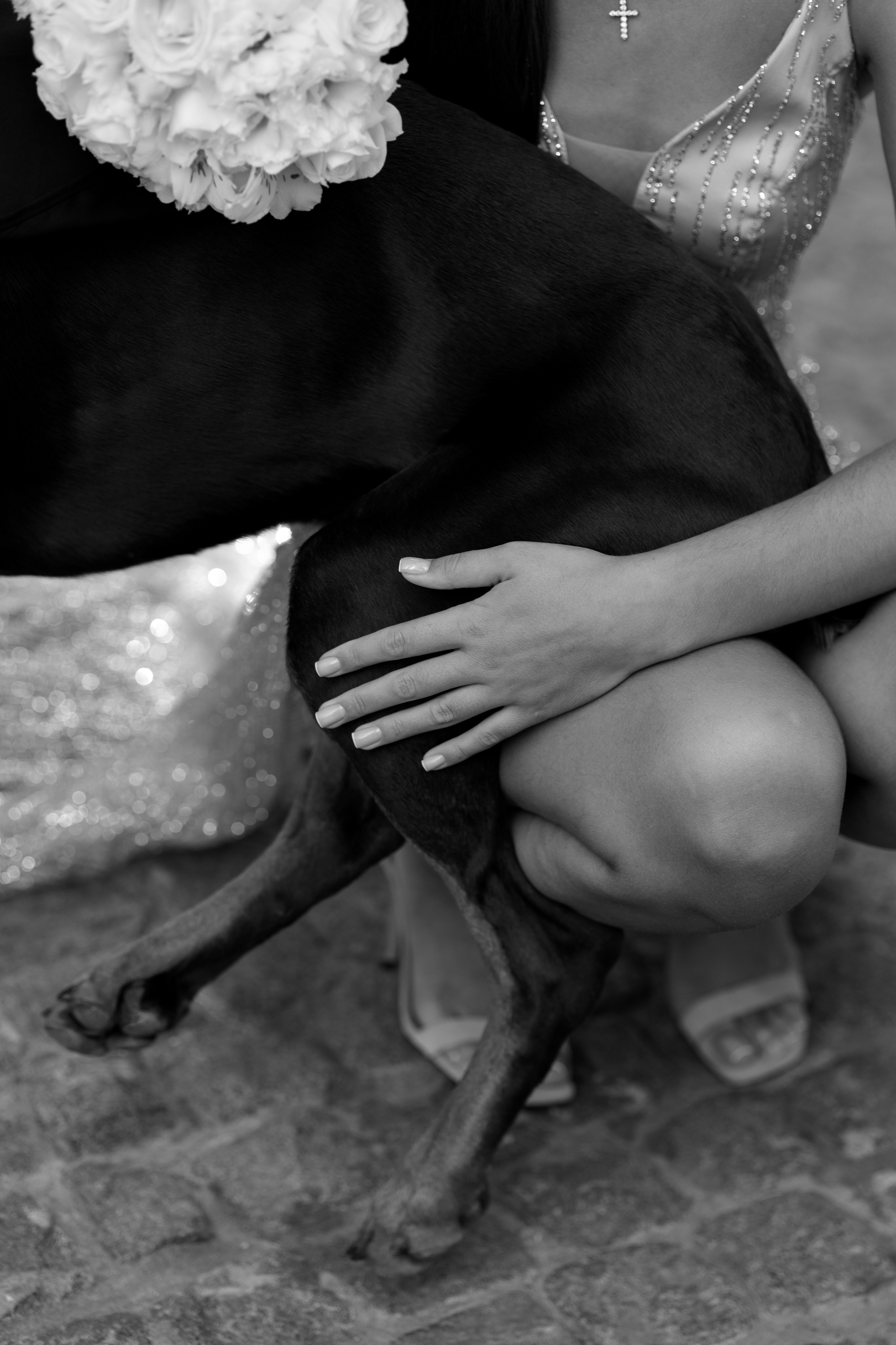 Діана & Влад. Весільний та сімейний фотограф Одеса