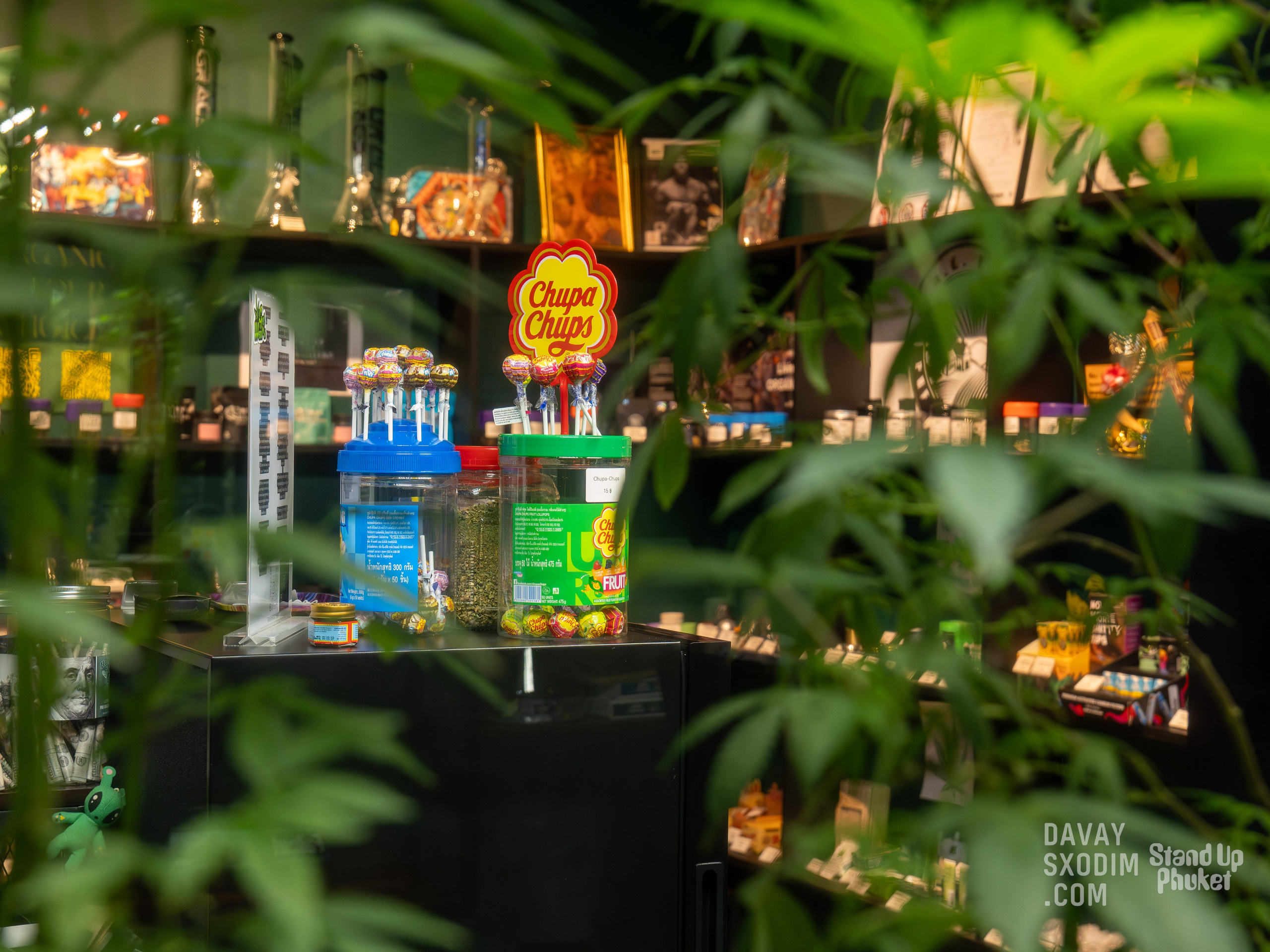 Standup-шоу «Тай-Болтай» | Фоторепортаж | Афиша | DAVAYSXODIM.com PHUKET. АФИША|ФОТОРЕПОРТАЖИ|ИВЕНТЫ|ПХУКЕТ