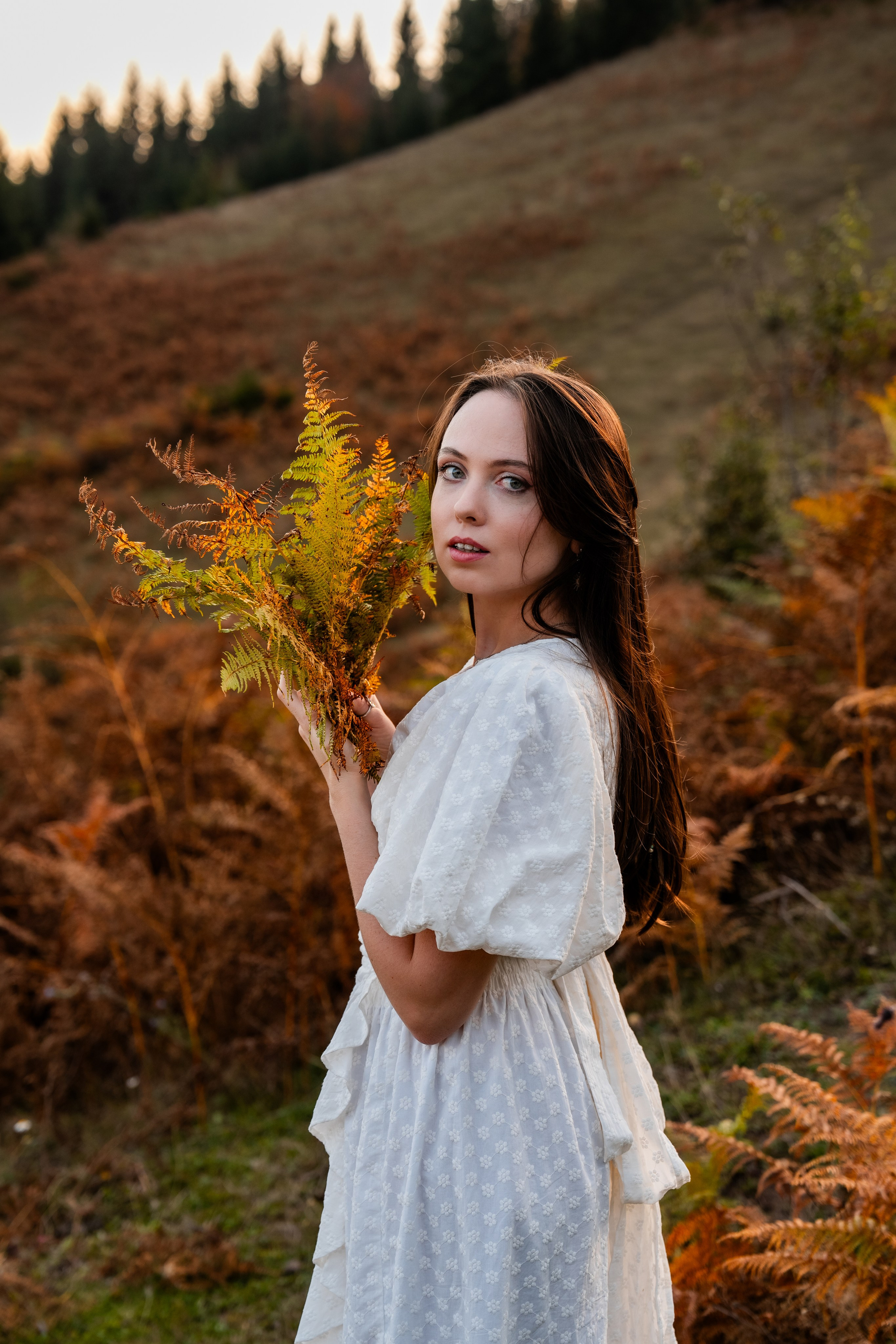Golden Autumn. Ekaterina Verbitskaya. Photography