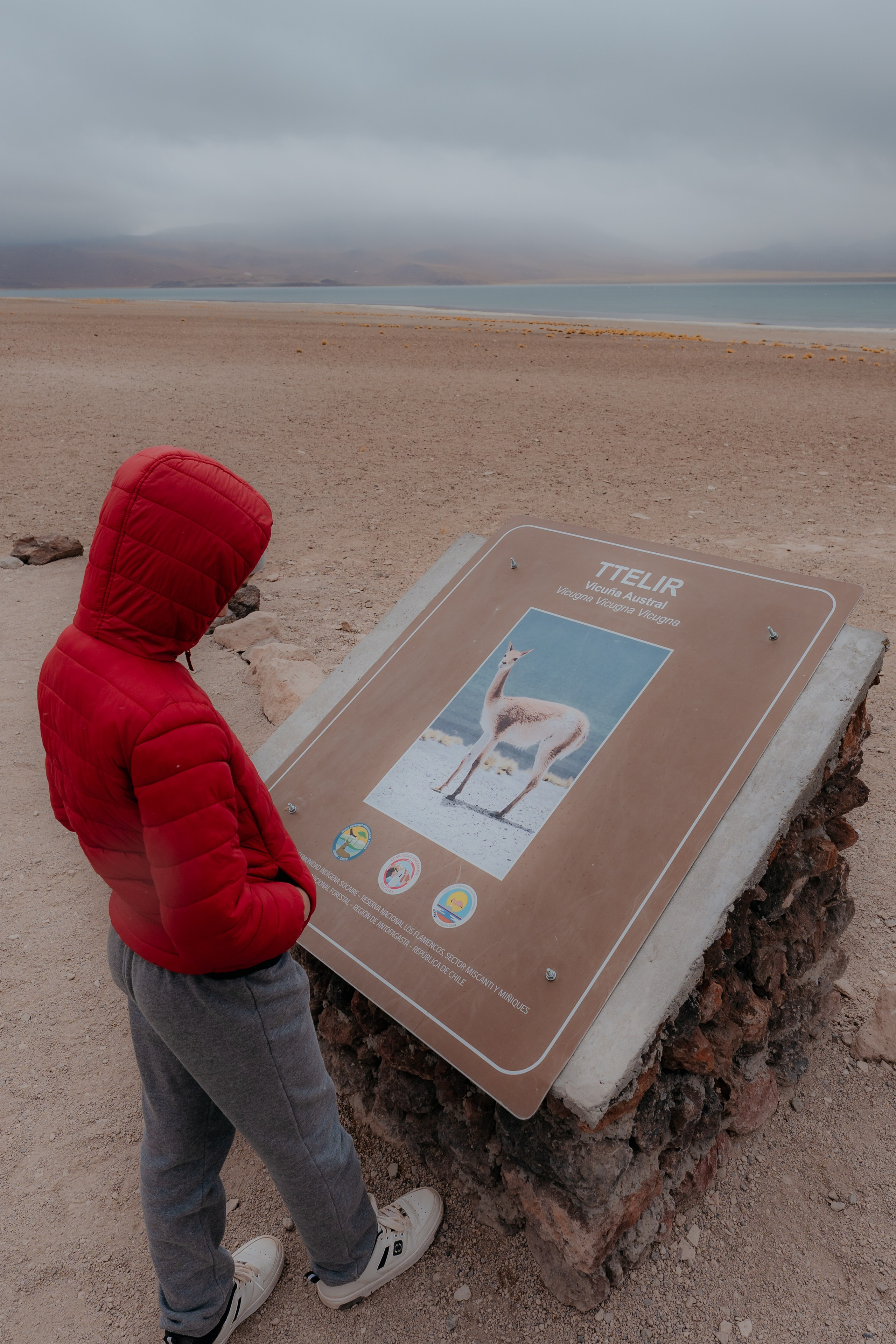 Família Ragazzi (cobertura em passeio). Principal