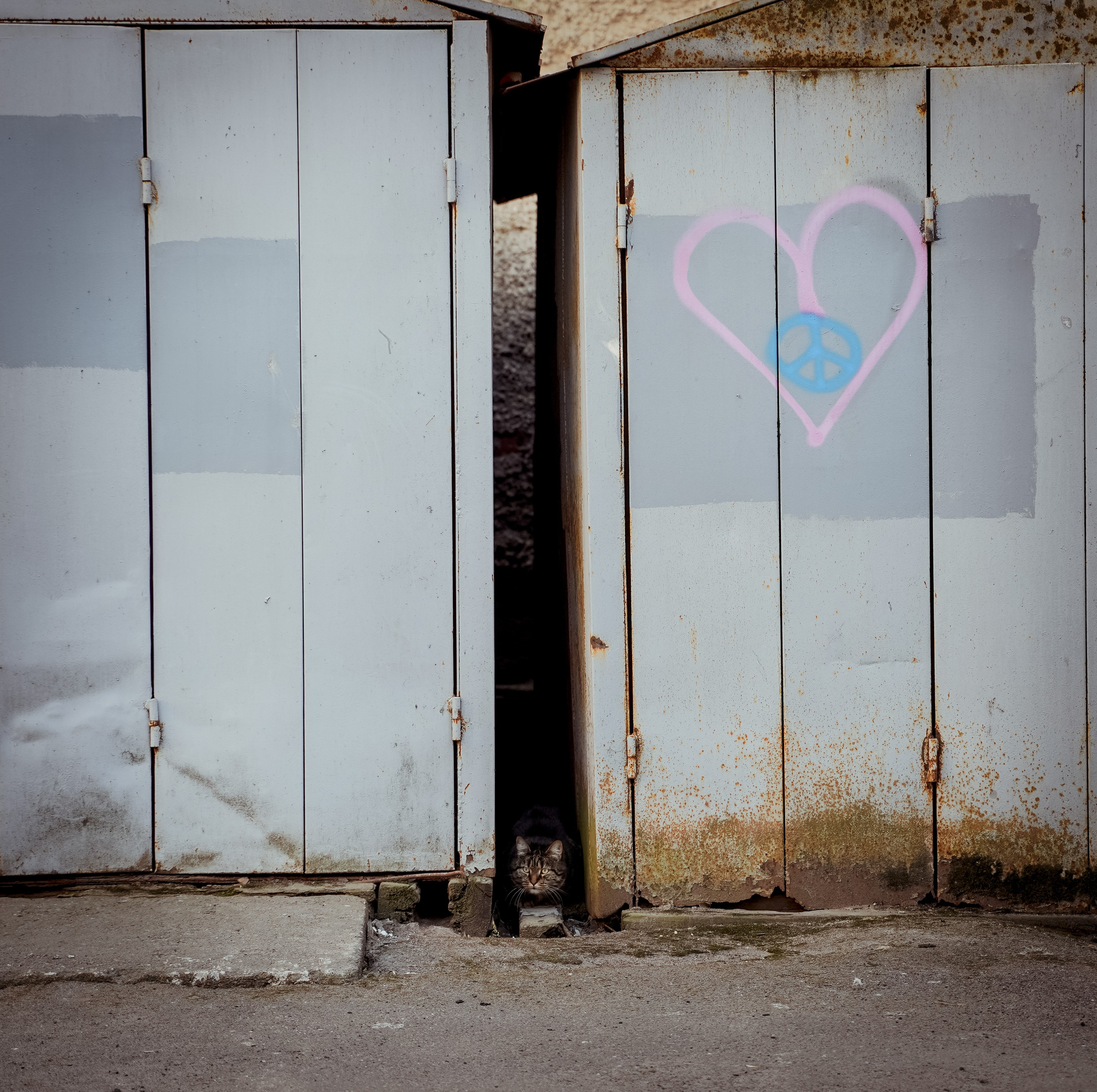 Кот шпедингера. Стрит-фотография, полная абсурда, идиотизма и красоты