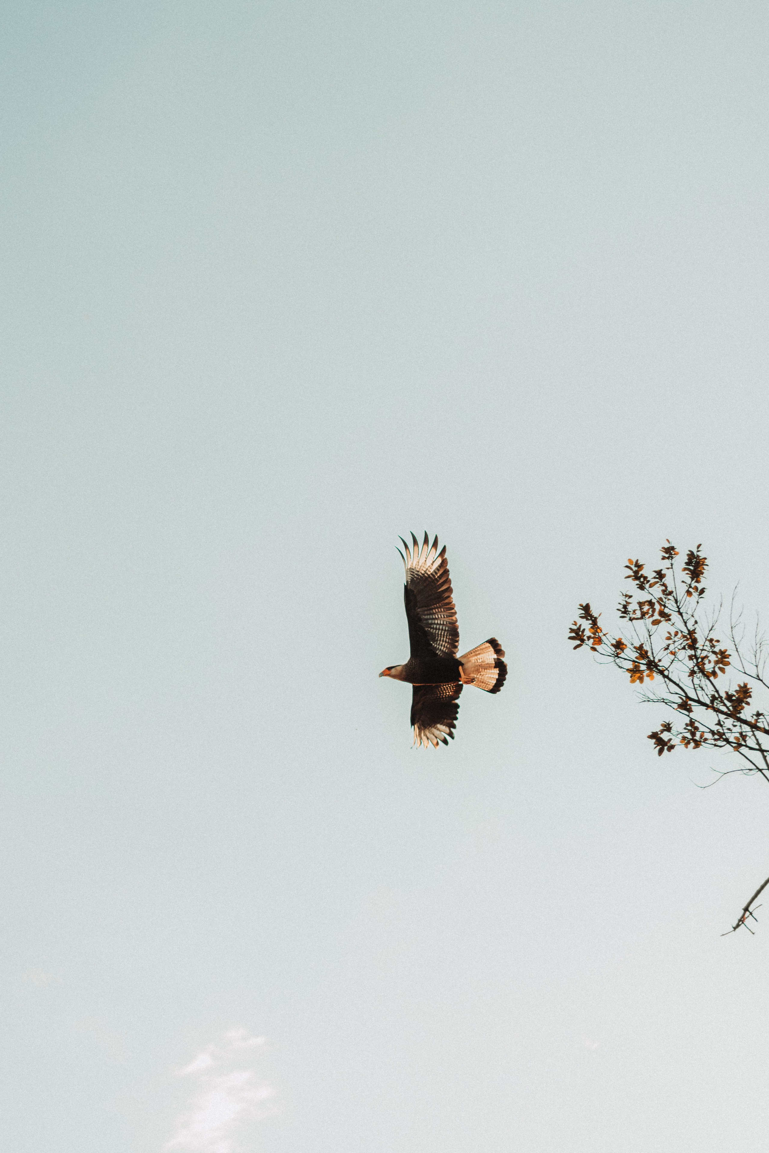 Pré Wedding — Diego & Rafaela. Pedro Rezende | Memórias Atemporais