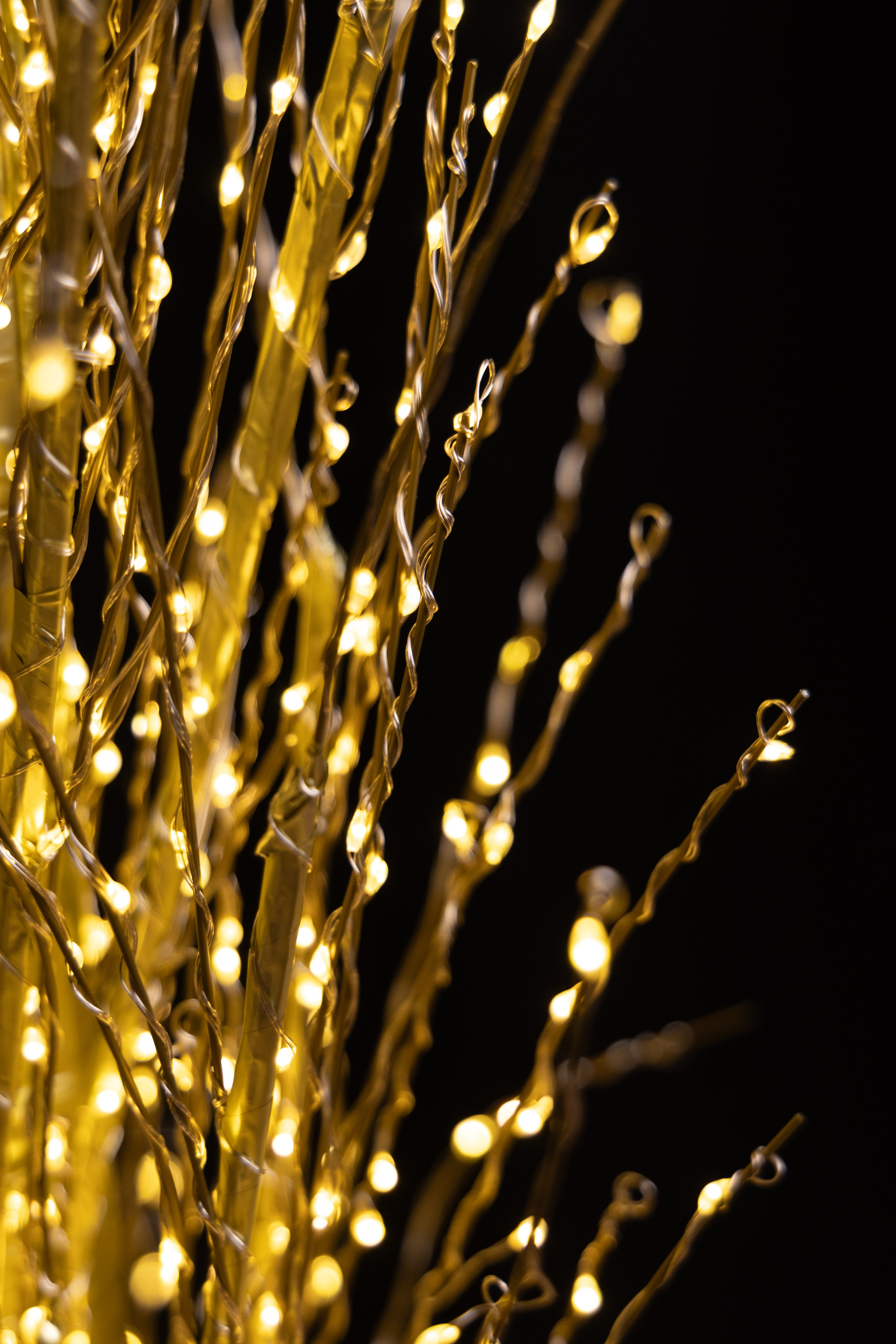 Valcony. Дизайнер и Фотограф в Кишинёве Бусуйок Станислав